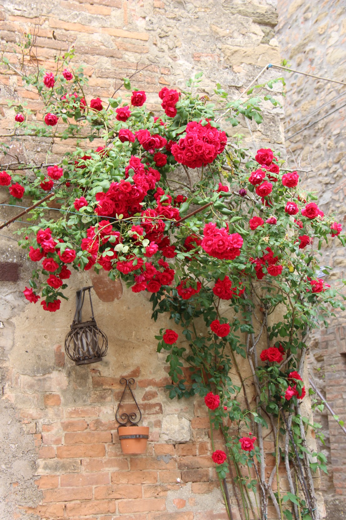 2359BC8B-BE2F-4E1E-8ED9-D39BB70A677F