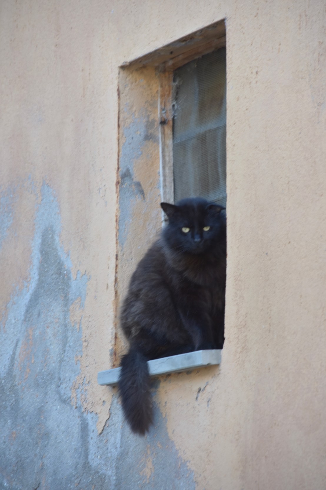 3640B744-6DAE-47D3-B9E6-DAE8D7E57483