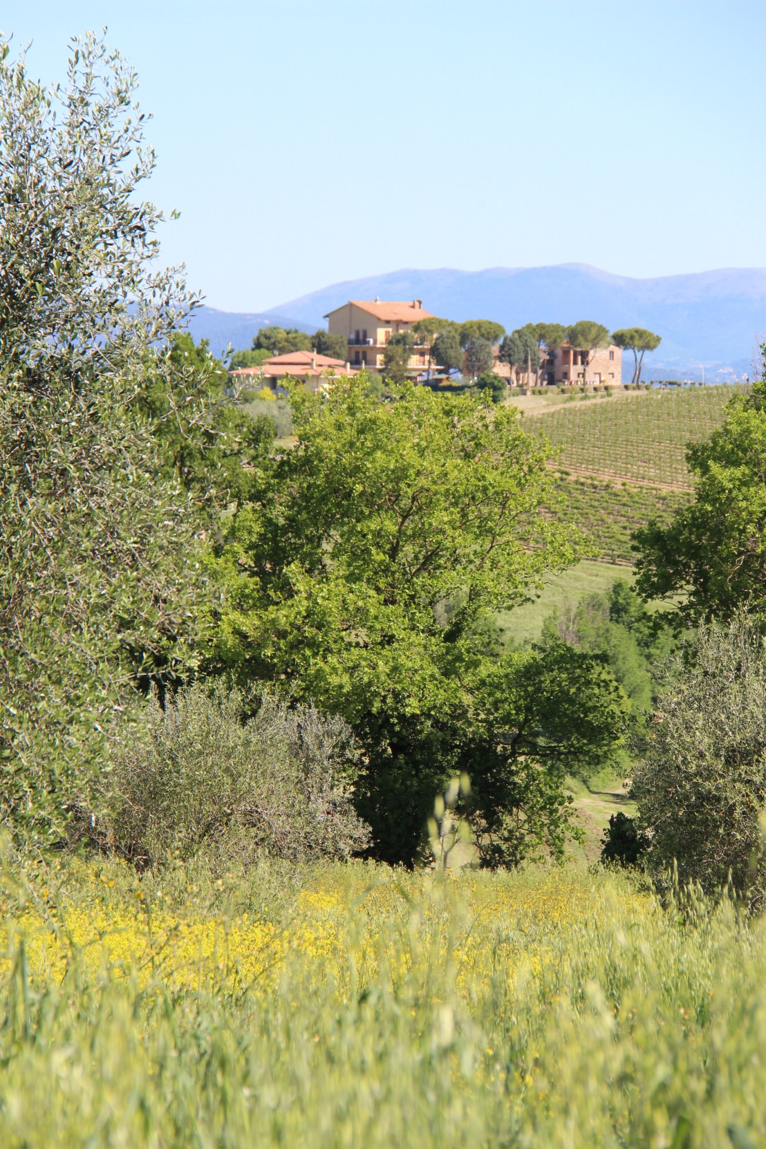 6627E53C-8C94-4AB6-A927-677BE0213D3C