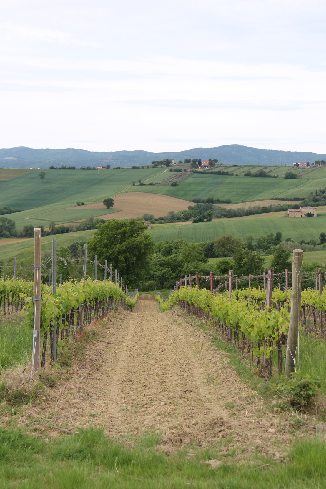 67EA8E42-4E7C-4929-8717-2C02007B6BD2