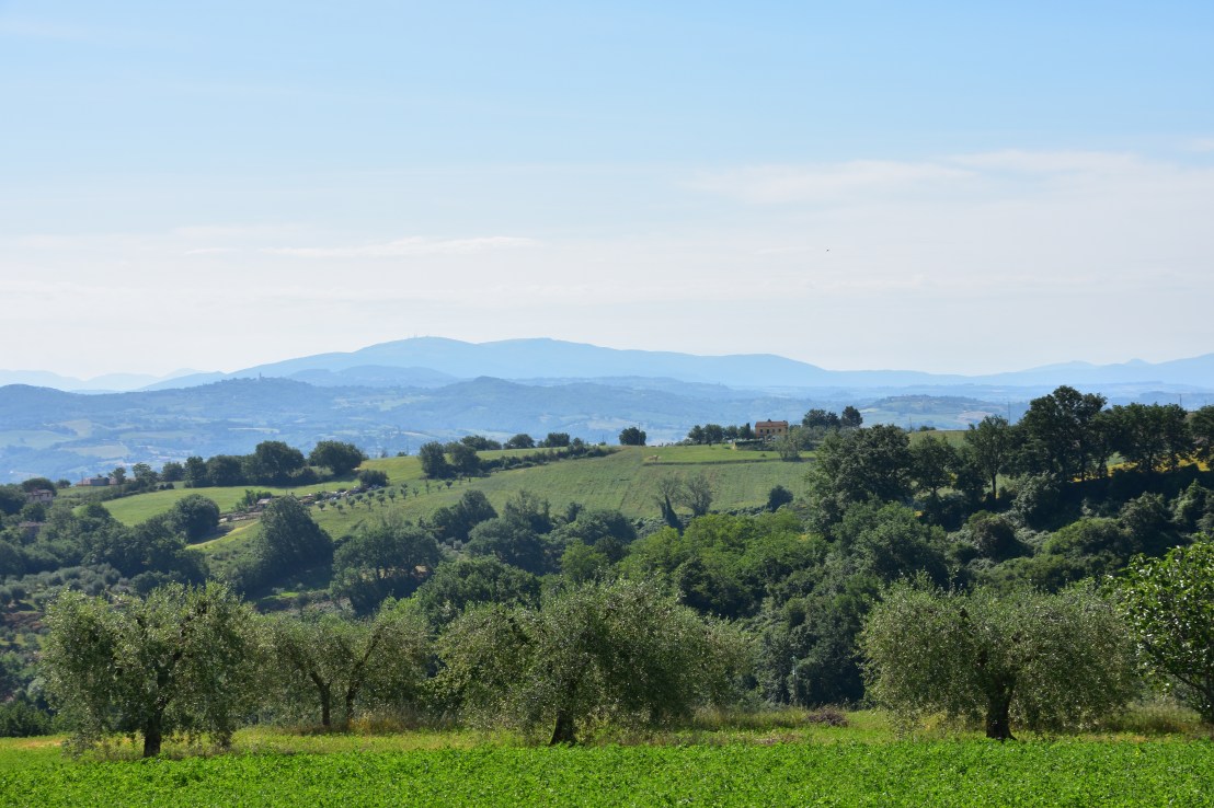 8065BD82-67FE-48FB-BD1B-480210F623F0