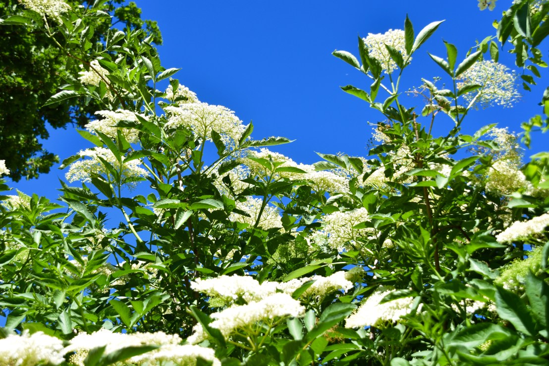 8B8324C7-2F36-44F9-98EE-79D6D0AA85A0