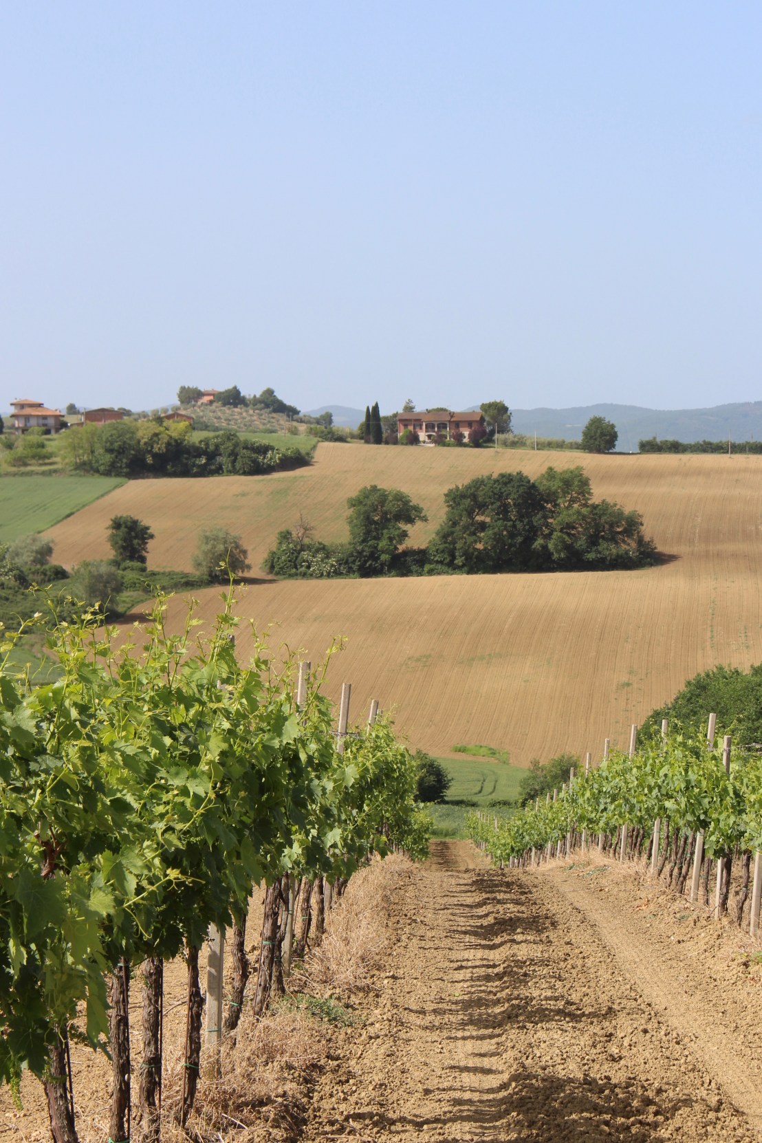 8E019989-DEDF-4306-A1CF-9088428E98B2