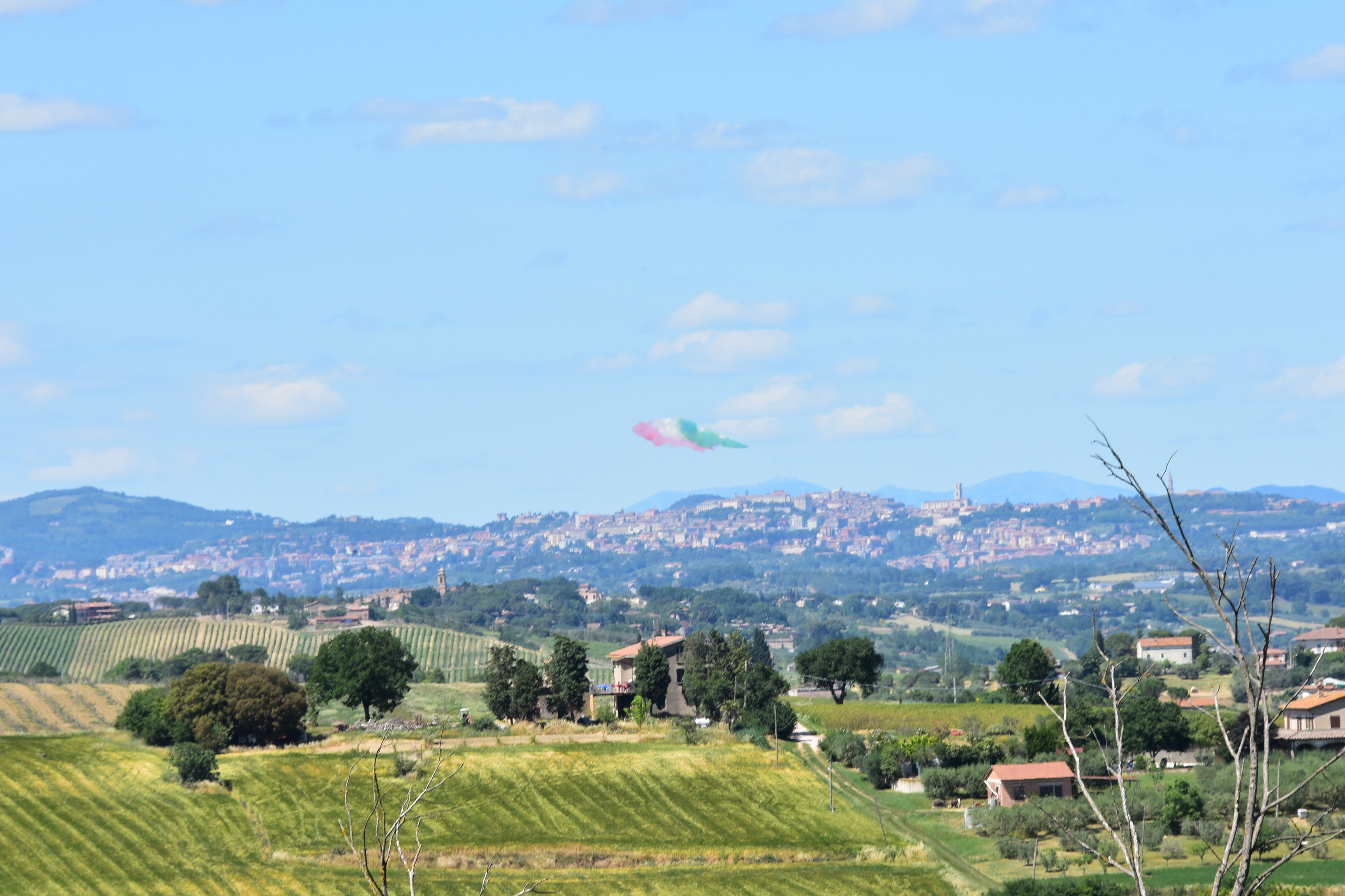 9B91298C-7F83-4755-9BA7-CEA84BE6D65A