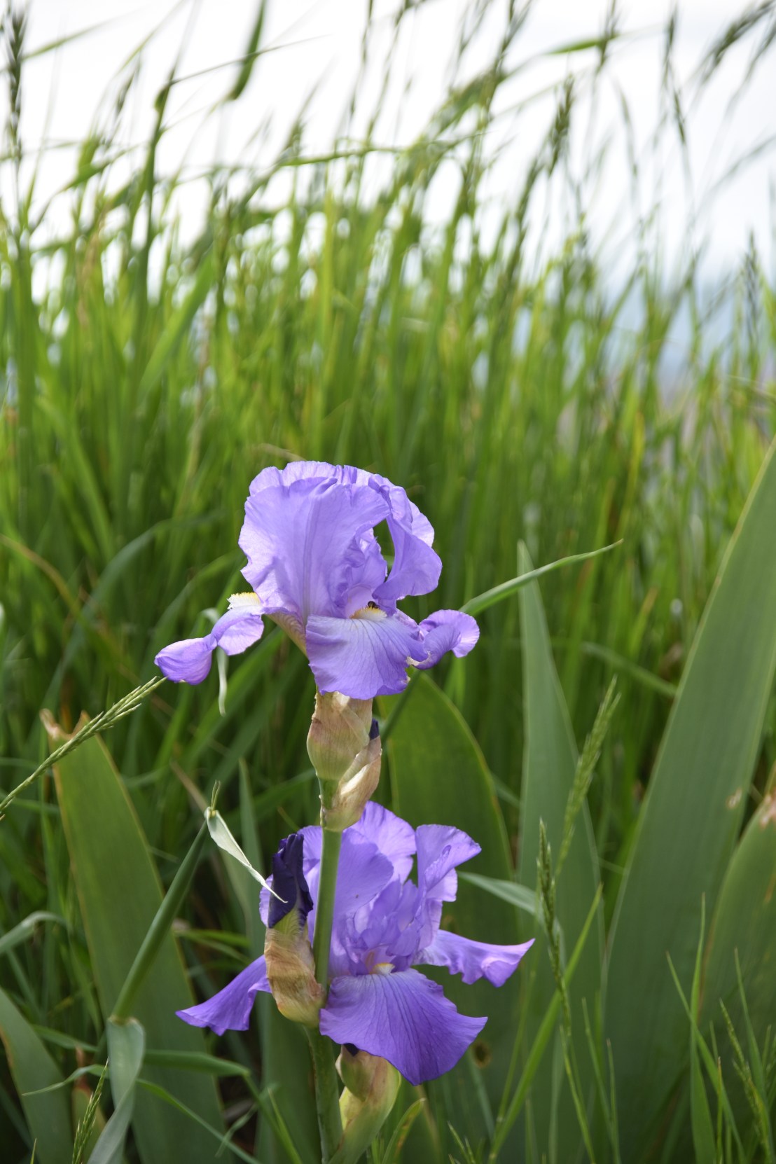 9EE2896D-254E-4D6C-8E5C-7A77D0357381