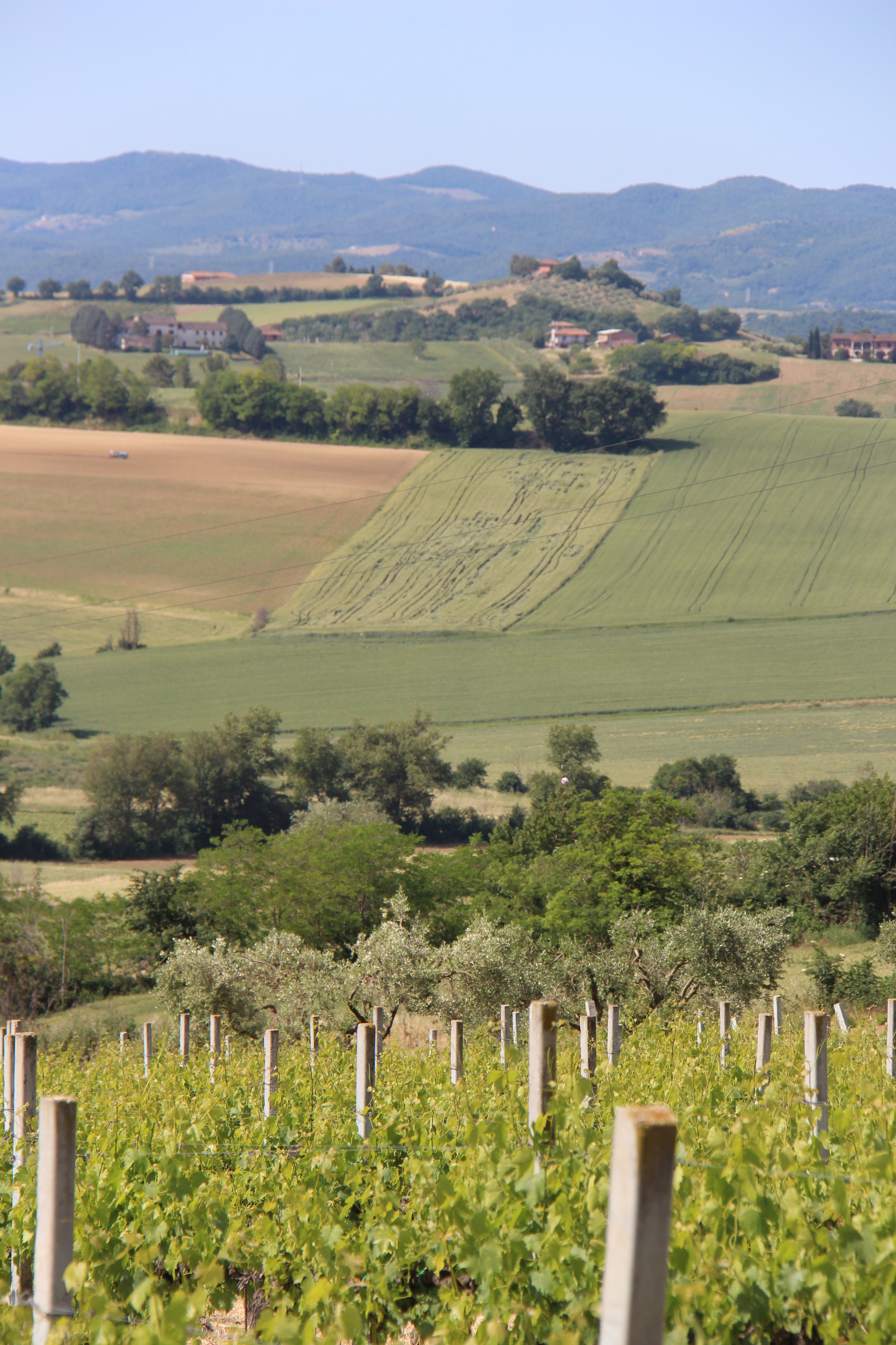 A91FC901-361A-4EE0-BAAE-61098A5A3BAE