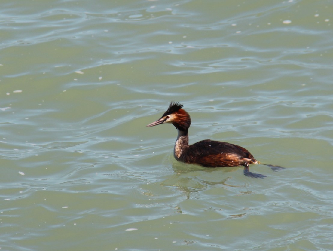 AC26876E-C0F4-4F13-8688-46302813F4E7