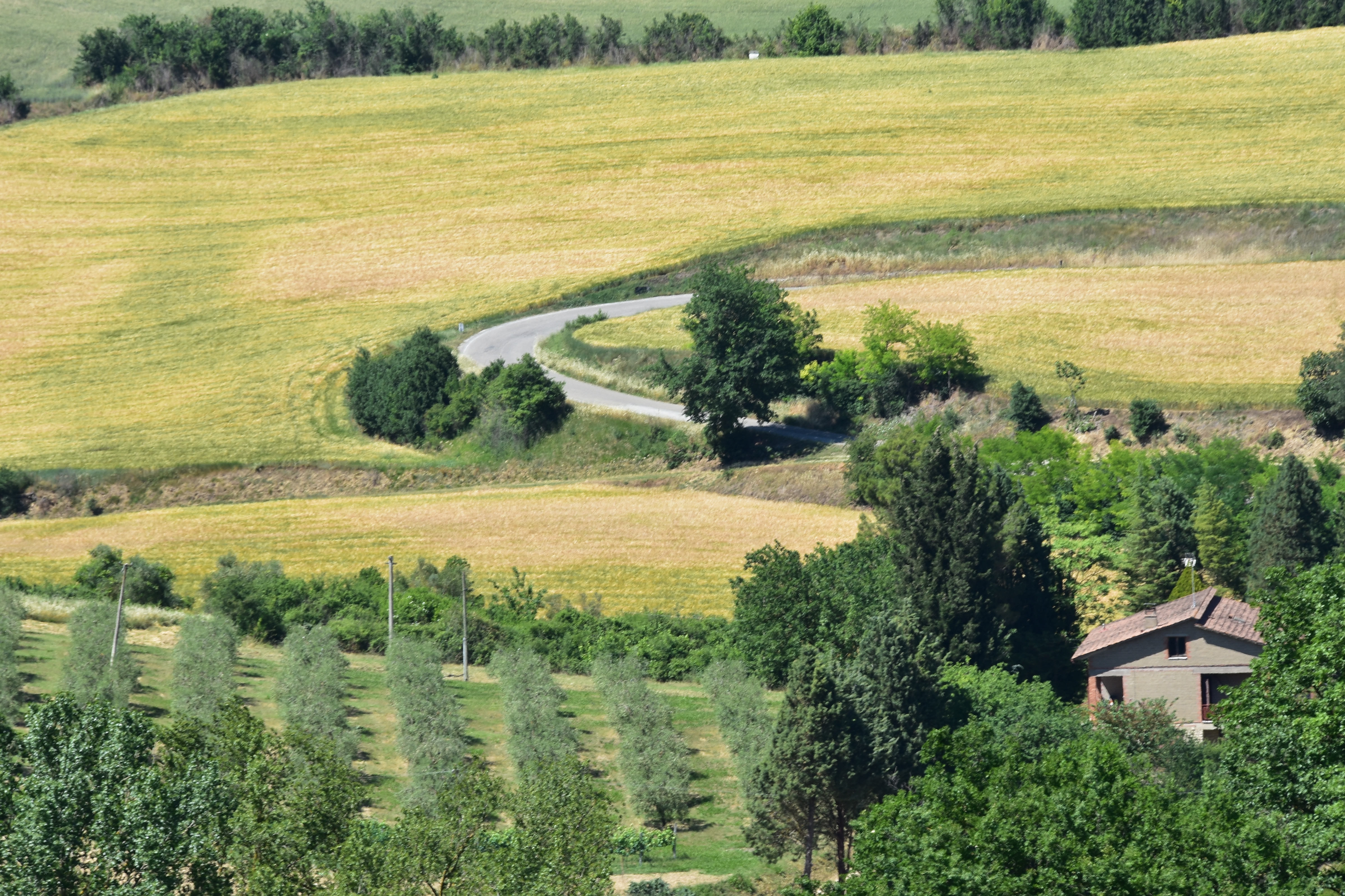 B2B0A252-4B09-4D09-96DE-DDFF13837C48