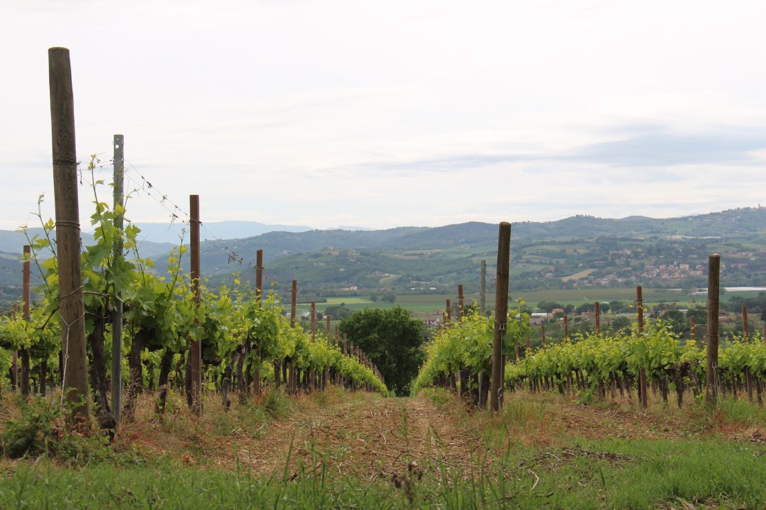 B2B96A1E-7EB5-44F2-9AD7-35271F9E7730