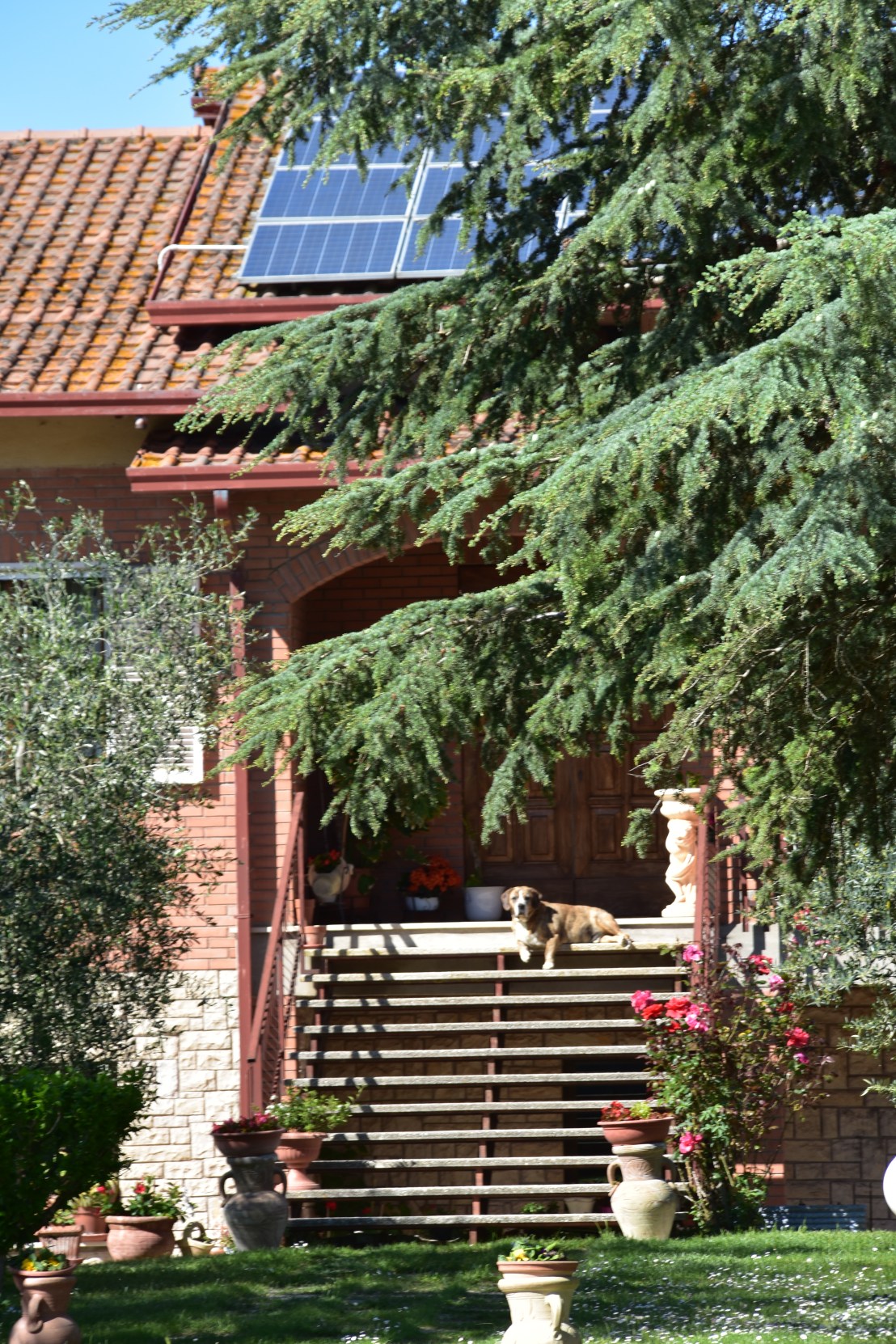 C6016004-86B6-49FC-B63F-E8CDBBA9372F