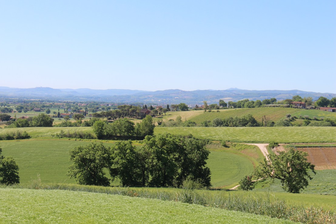 D9707CB4-C035-4E16-80FC-8C73D48F8B73