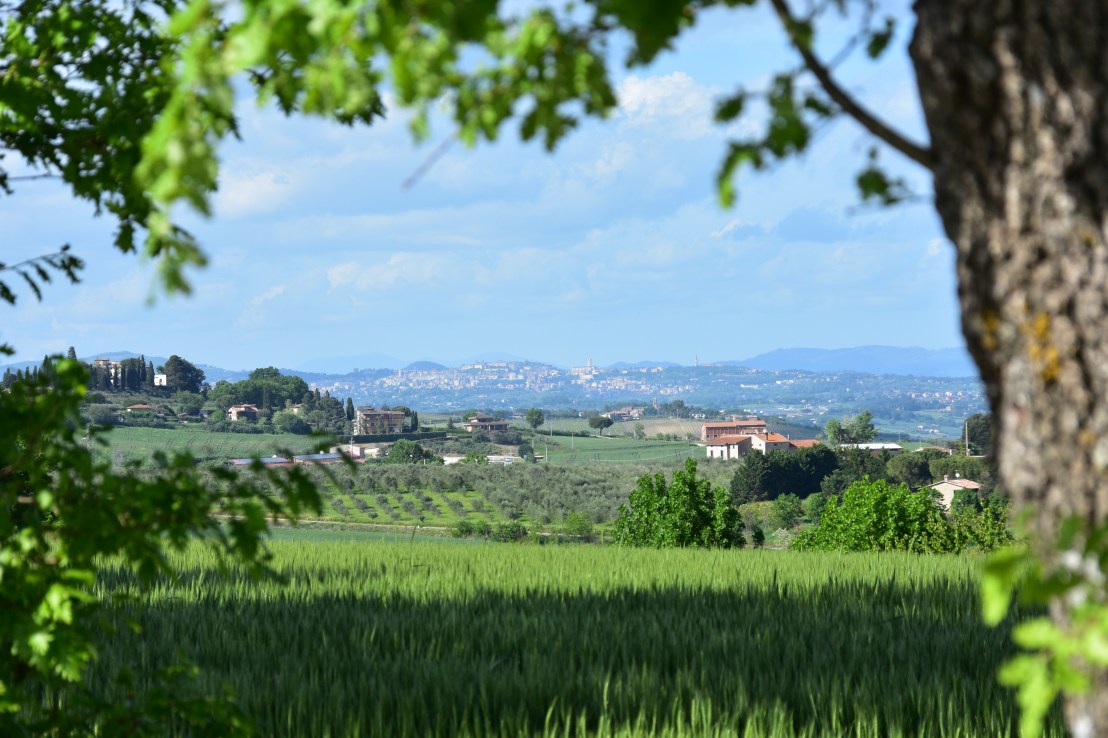 E678E005-40B5-4436-BE9C-7800DA496DD3