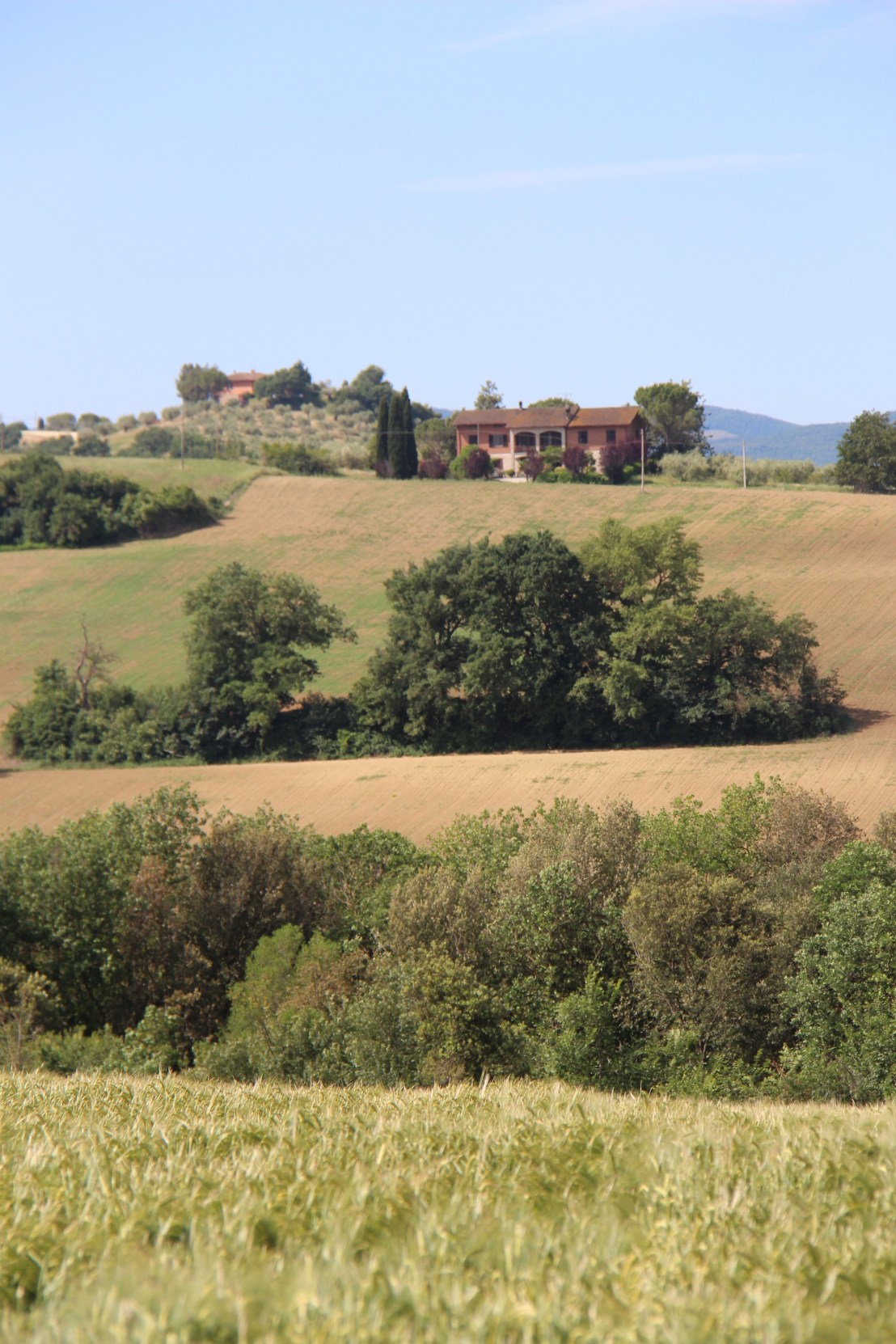 F4072E2A-9F91-4F1E-A875-2D7CB63ED095