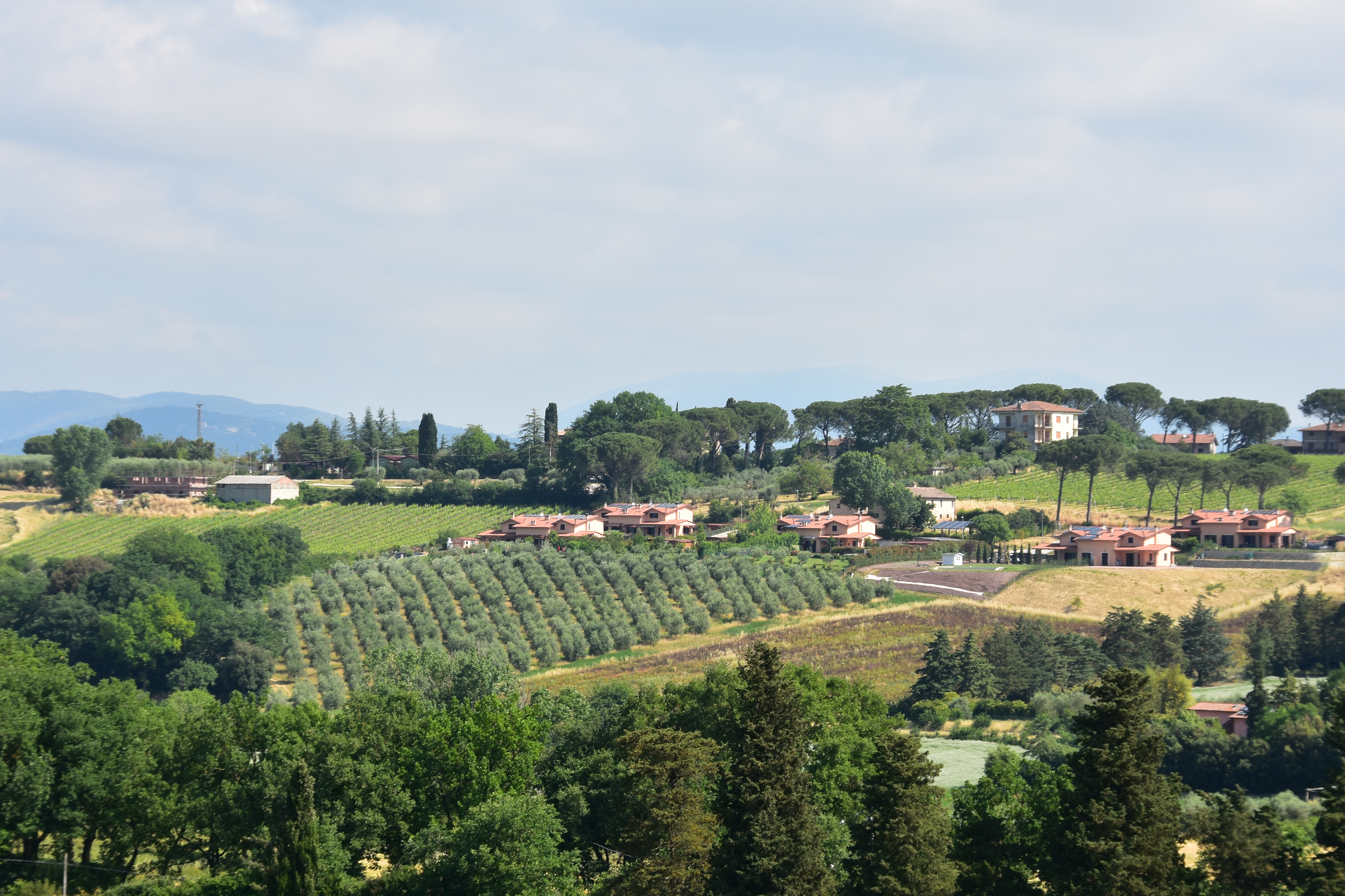 00CEB124-3CF9-4D59-92BE-614AA3F23B16