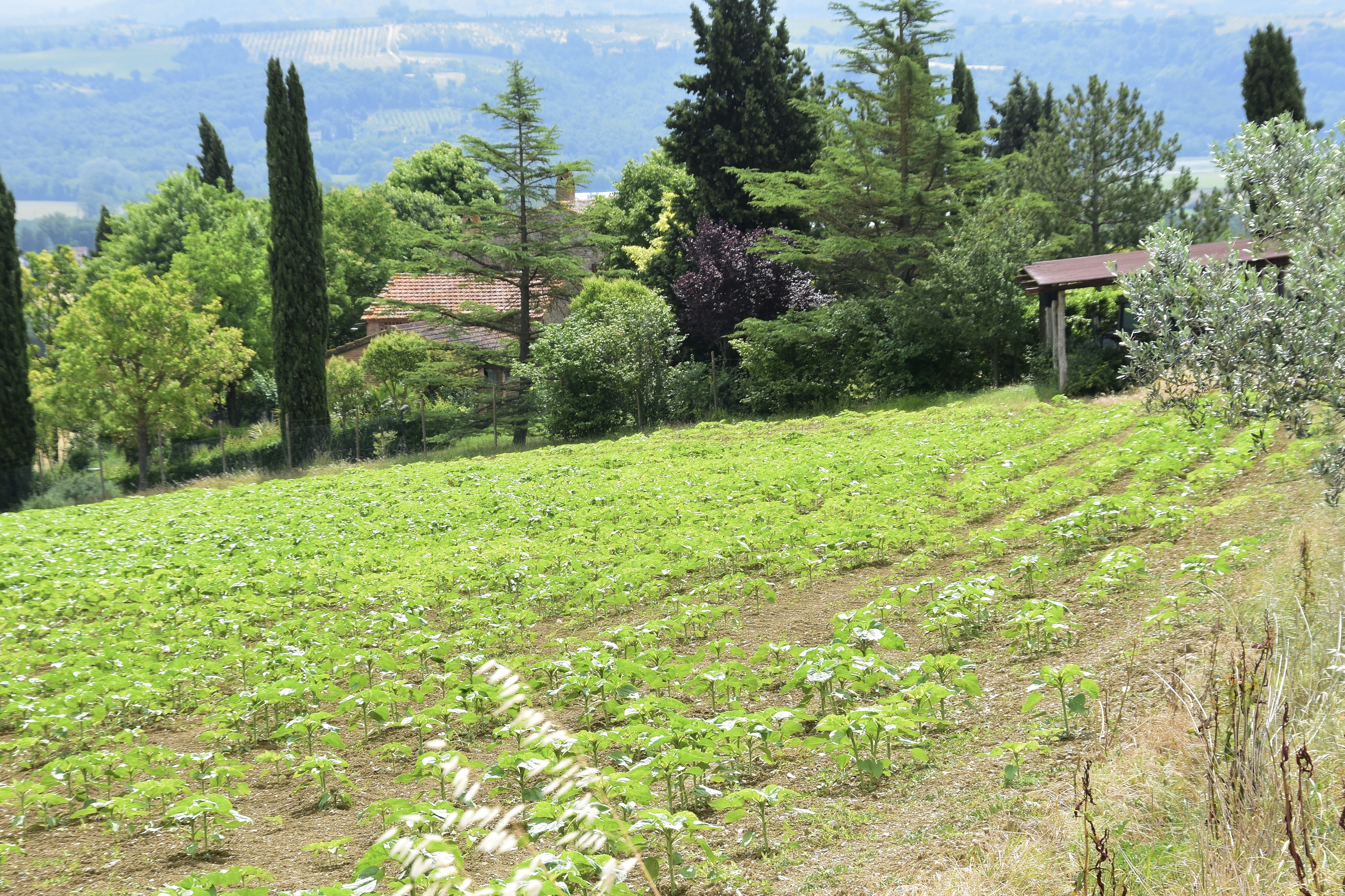 07FC8AD0-4410-4FE6-A349-B5E555BE305B