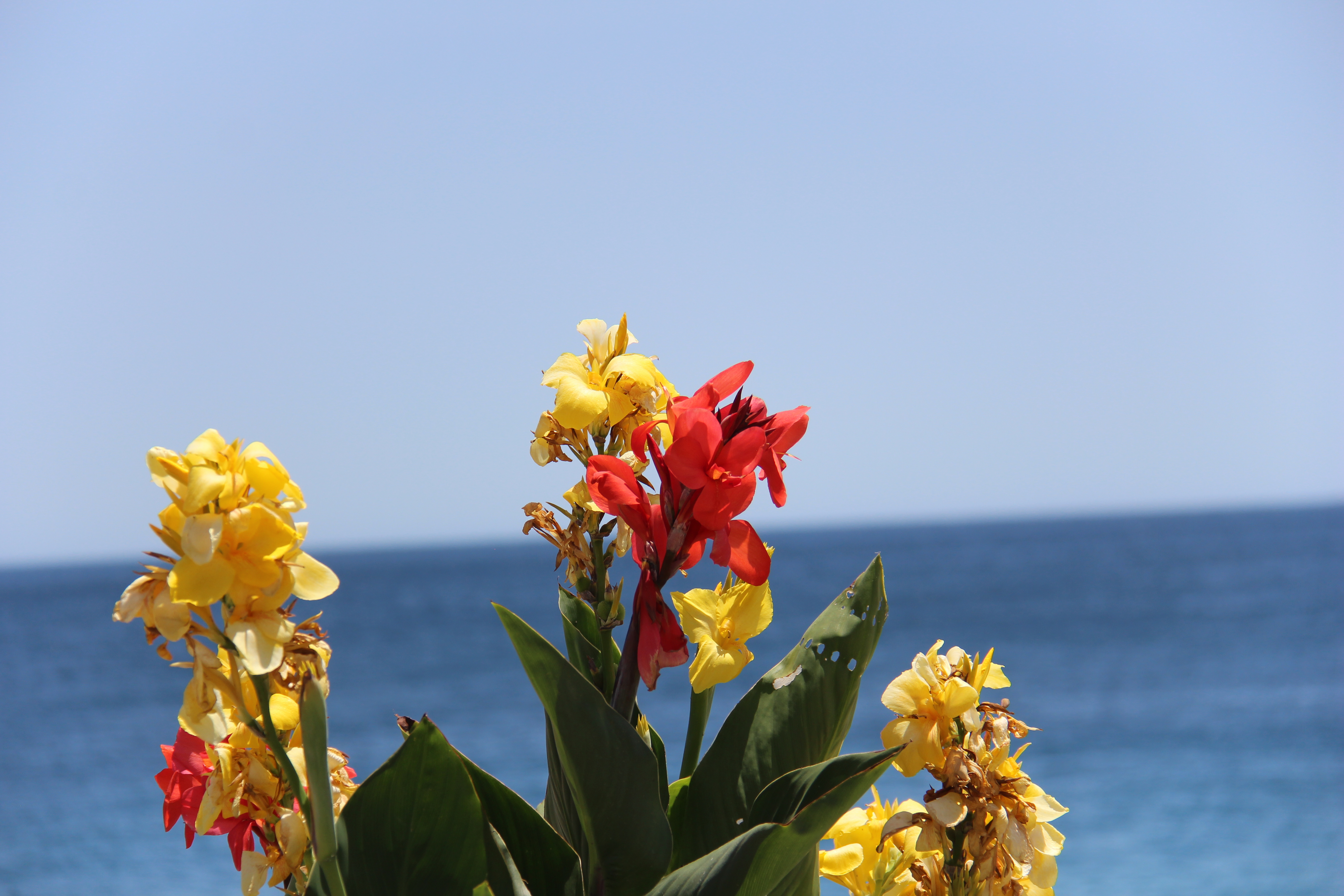 14E107C5-83F8-4CE8-A872-2E555EA2034F