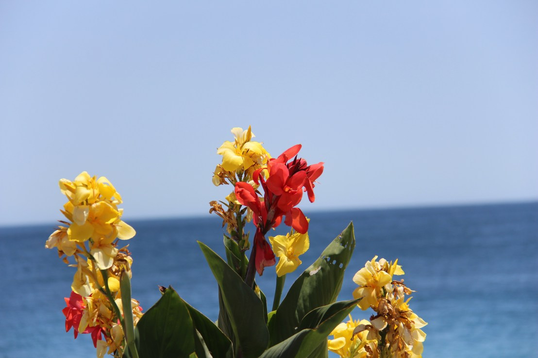 14E107C5-83F8-4CE8-A872-2E555EA2034F