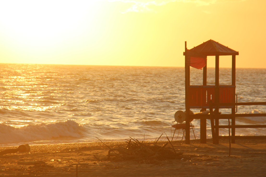 21B049B6-5836-450F-9F07-34EA1EC927AA