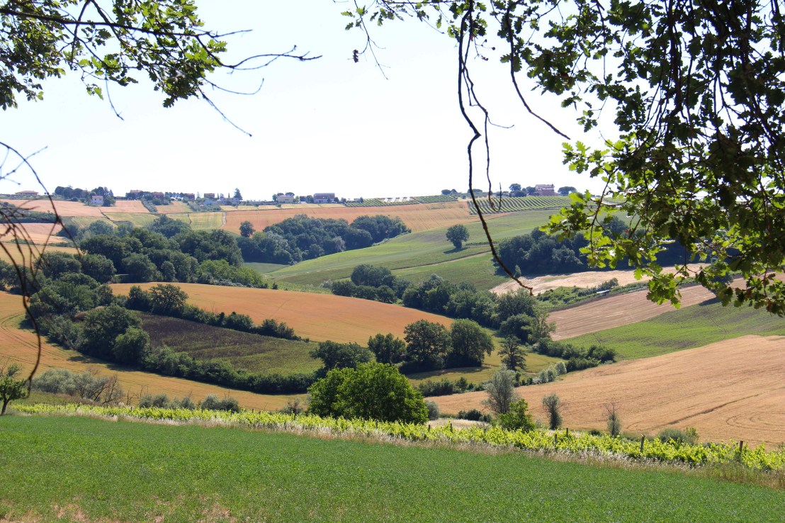 24BA48F6-6461-4116-B41E-AFFCC6BDB7C2