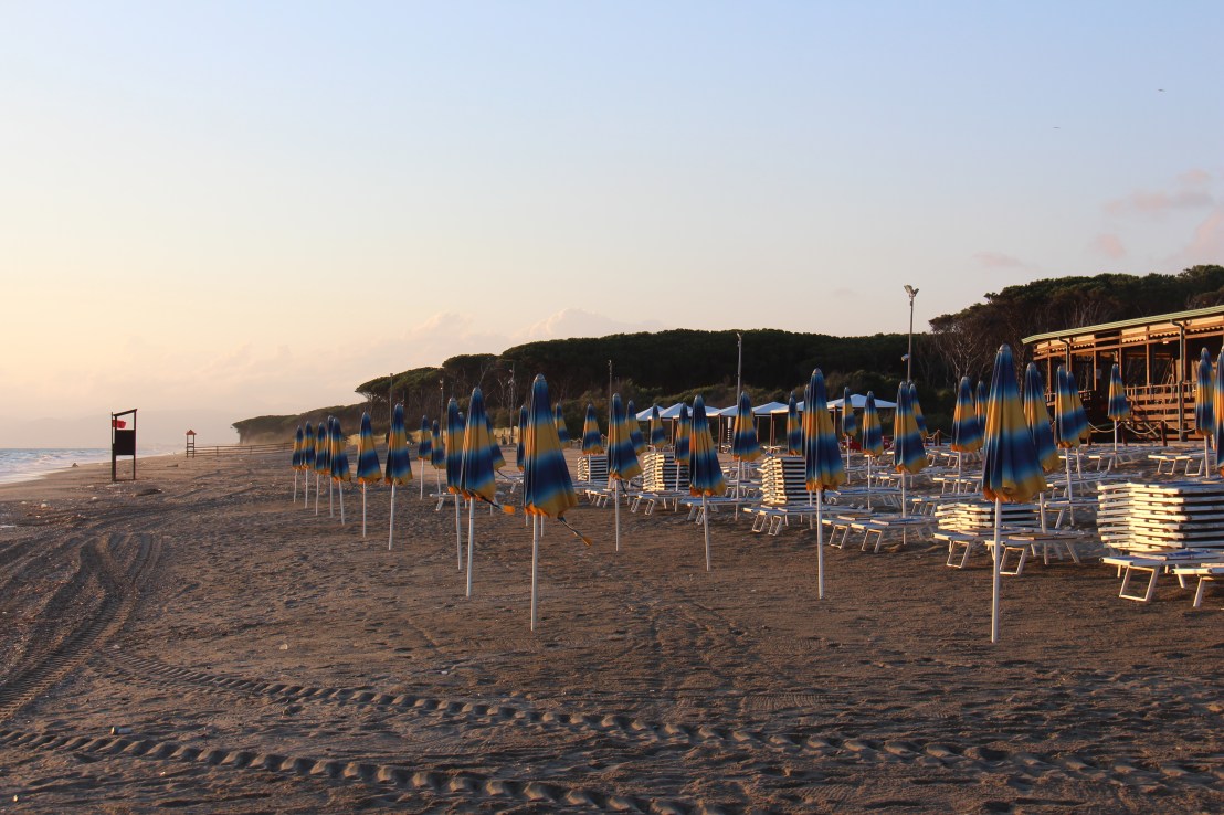 291D0D2E-1672-4F37-ADFD-1AE571E15364