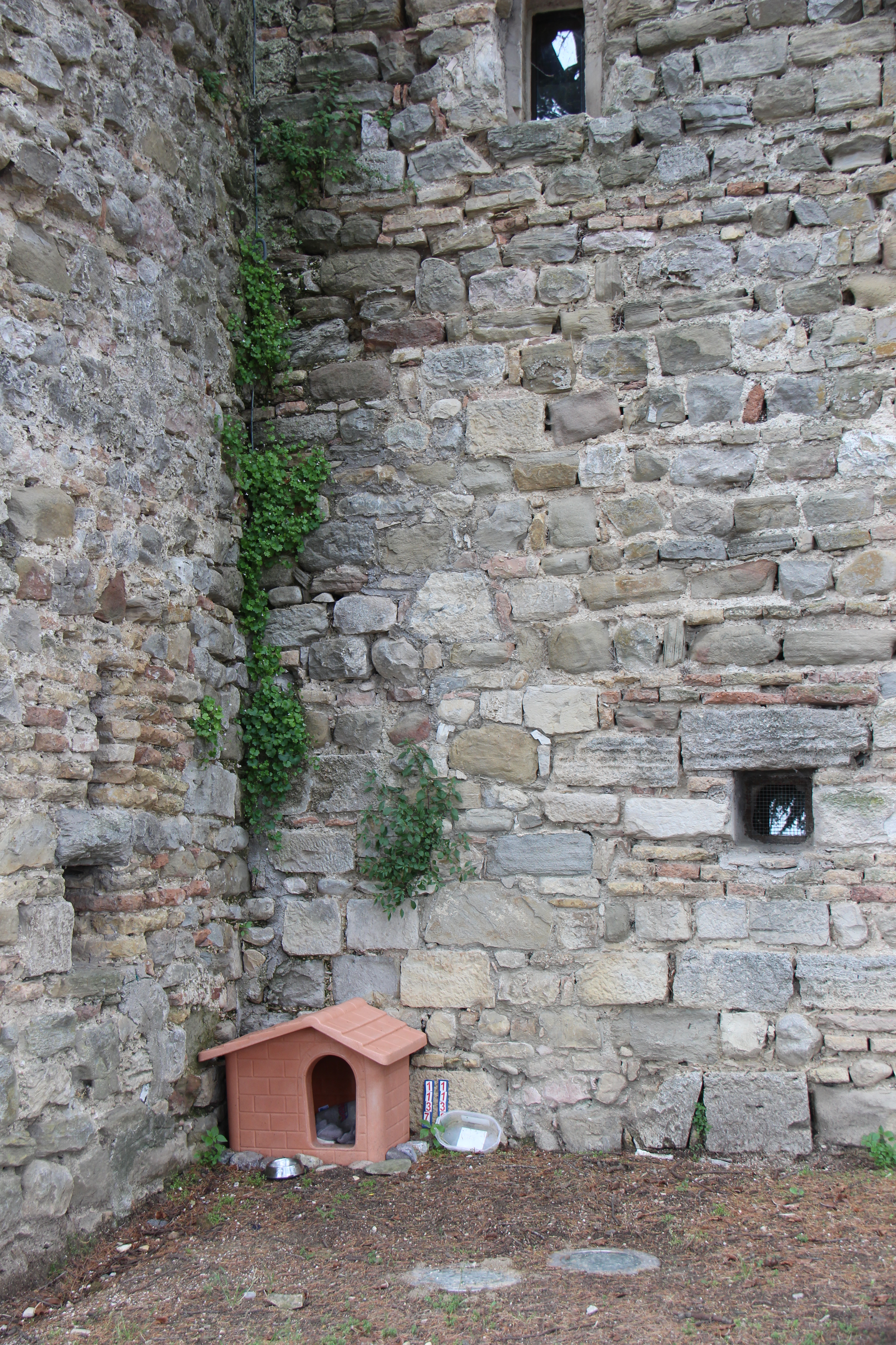 38491D86-20CF-46B6-9C6F-F56A7813D2A4