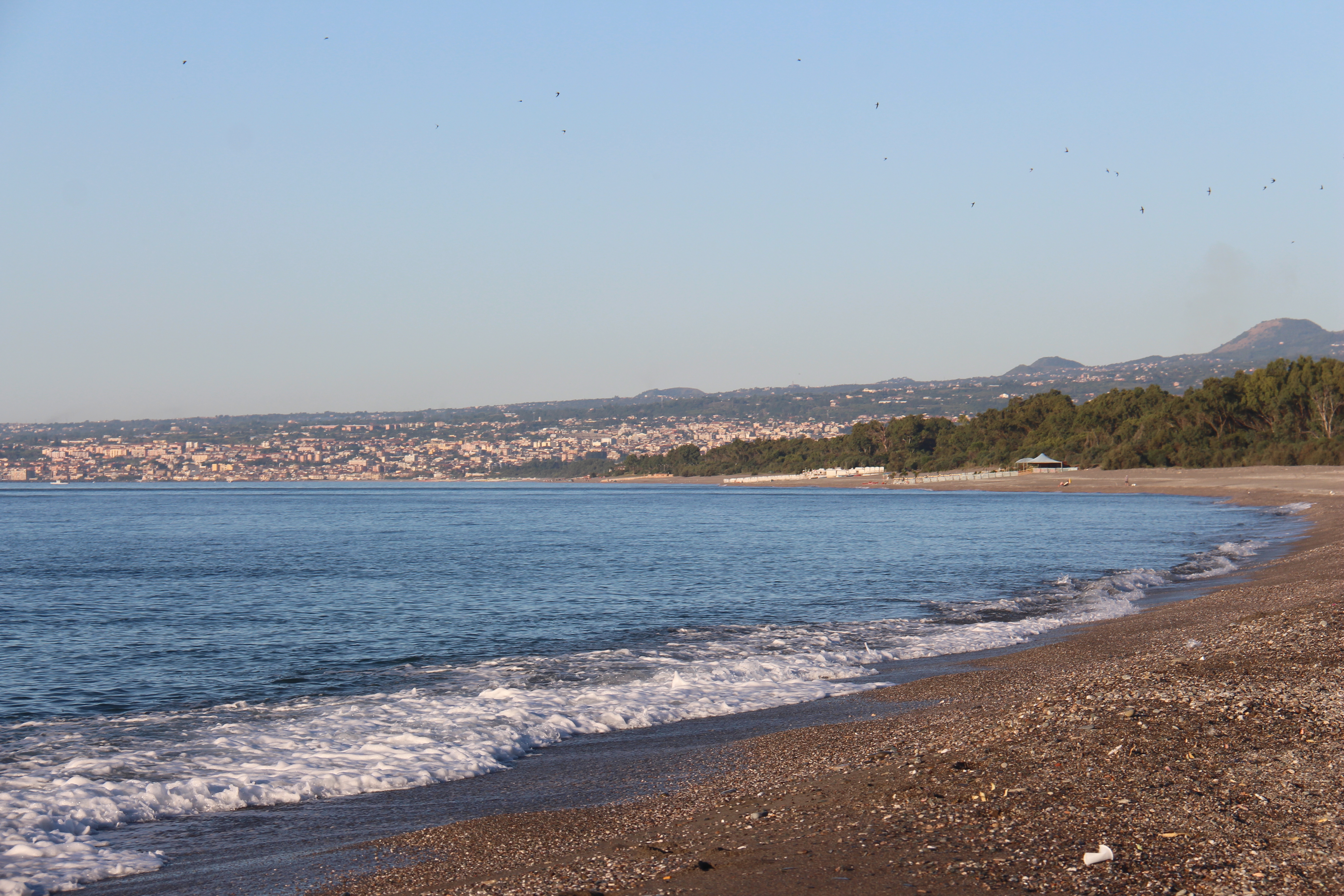 38E6ADD6-C5A1-4BDB-869E-53A263D21E9B