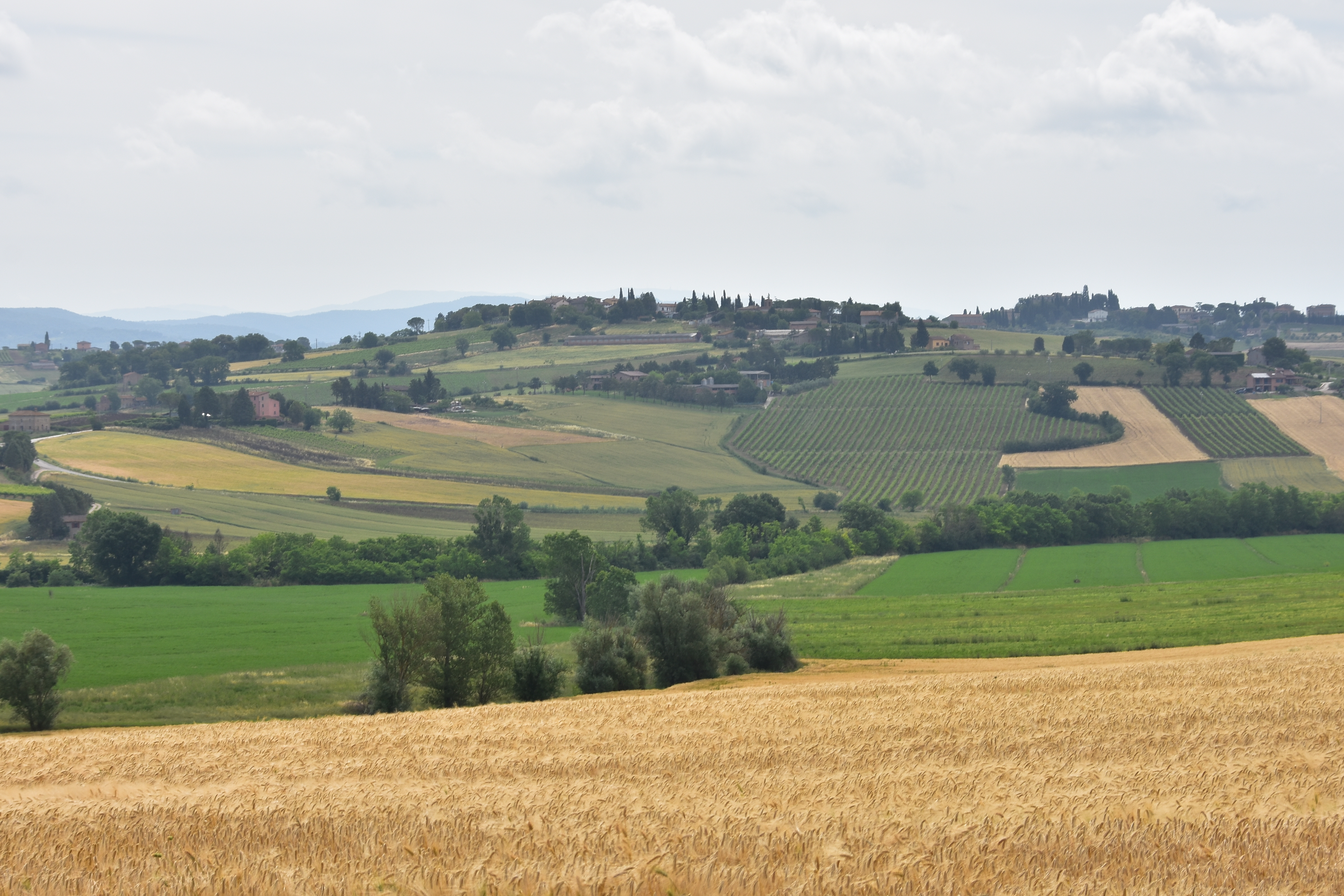 4BB014D2-6C04-4788-8852-841B7FF0DF2B