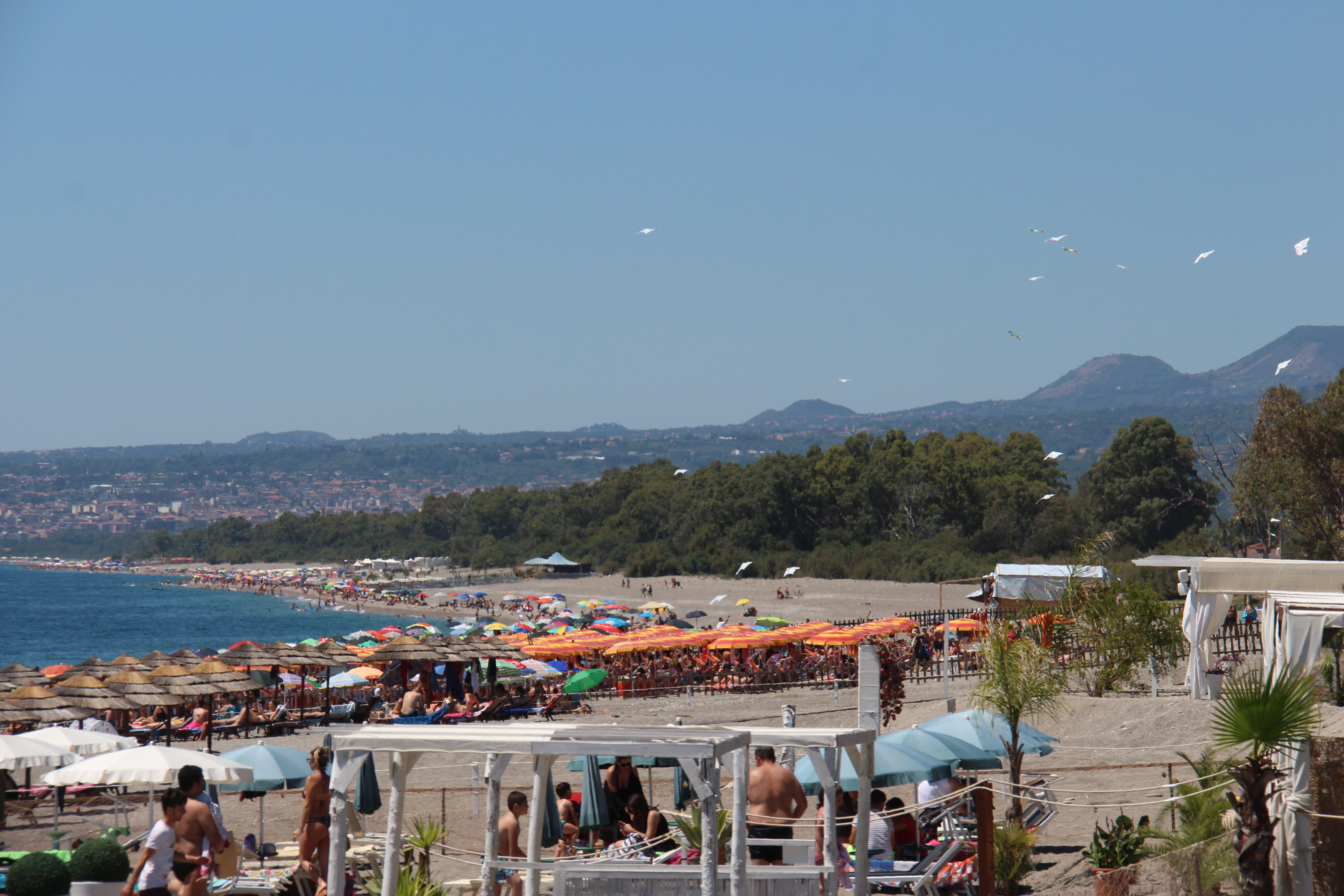 4BE0793A-9689-41BF-A69B-E439BB013398