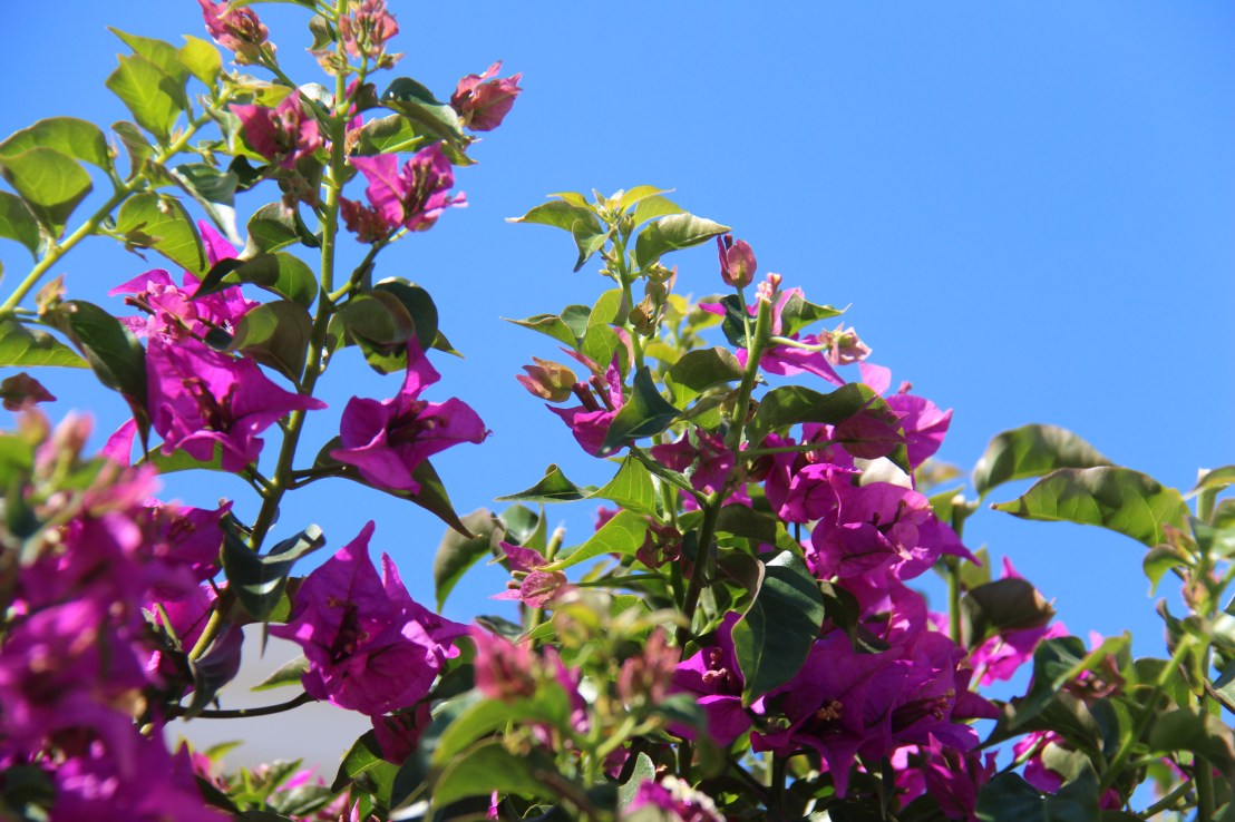 4F0898A2-9F74-4A82-B290-A6D7DFB8984F