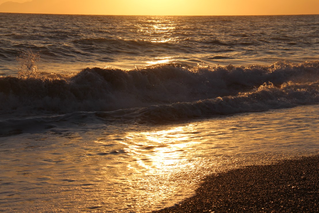 54D6C0FF-FA20-4F83-A6FA-47AAFD459EFC