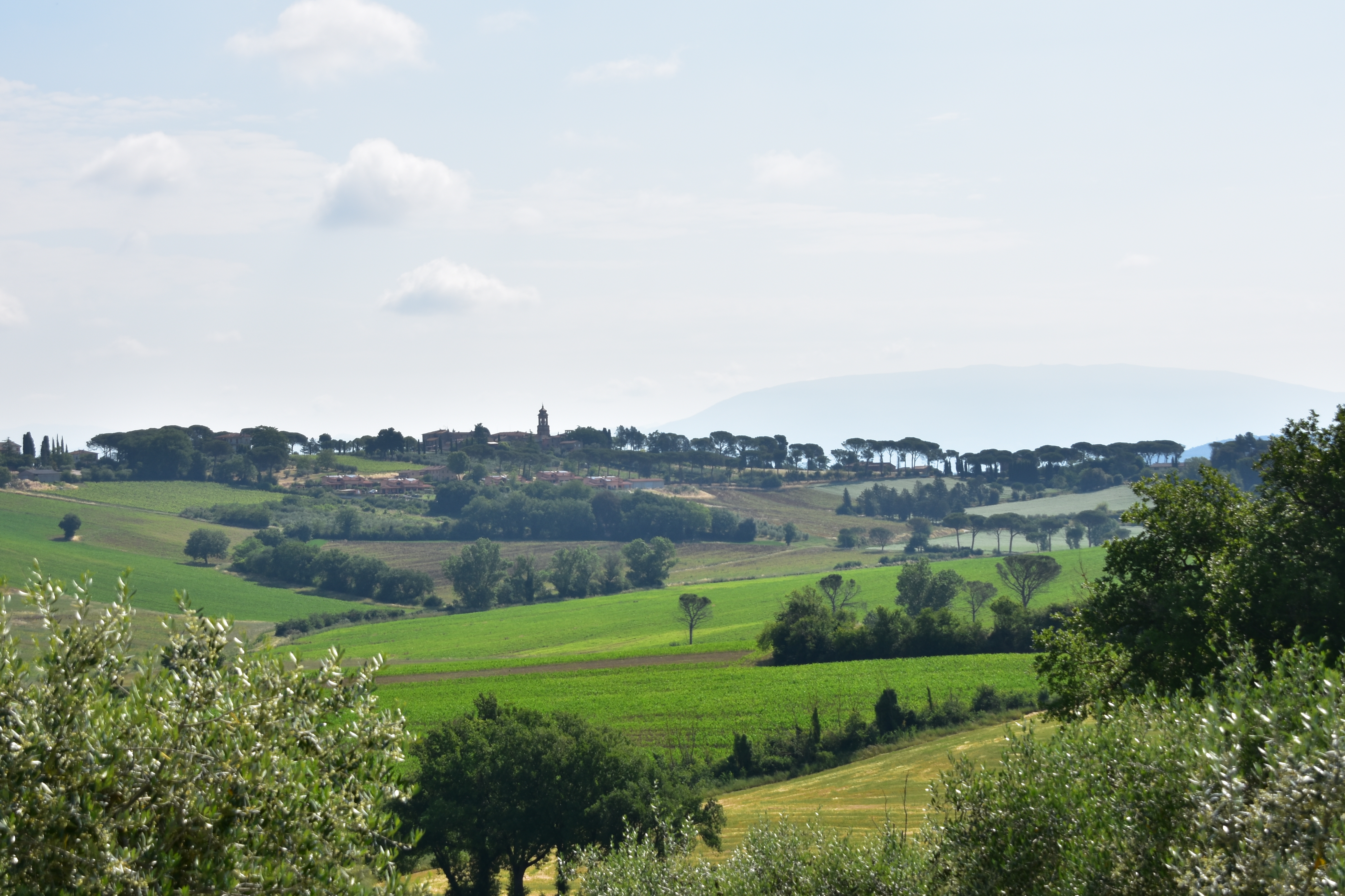 627C7F6C-EF9D-4639-8421-7DEBA2DAE83A