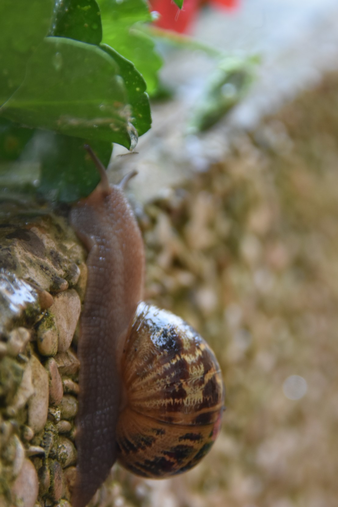 66C0500E-18AC-4387-8BB1-80D508E4D8FD