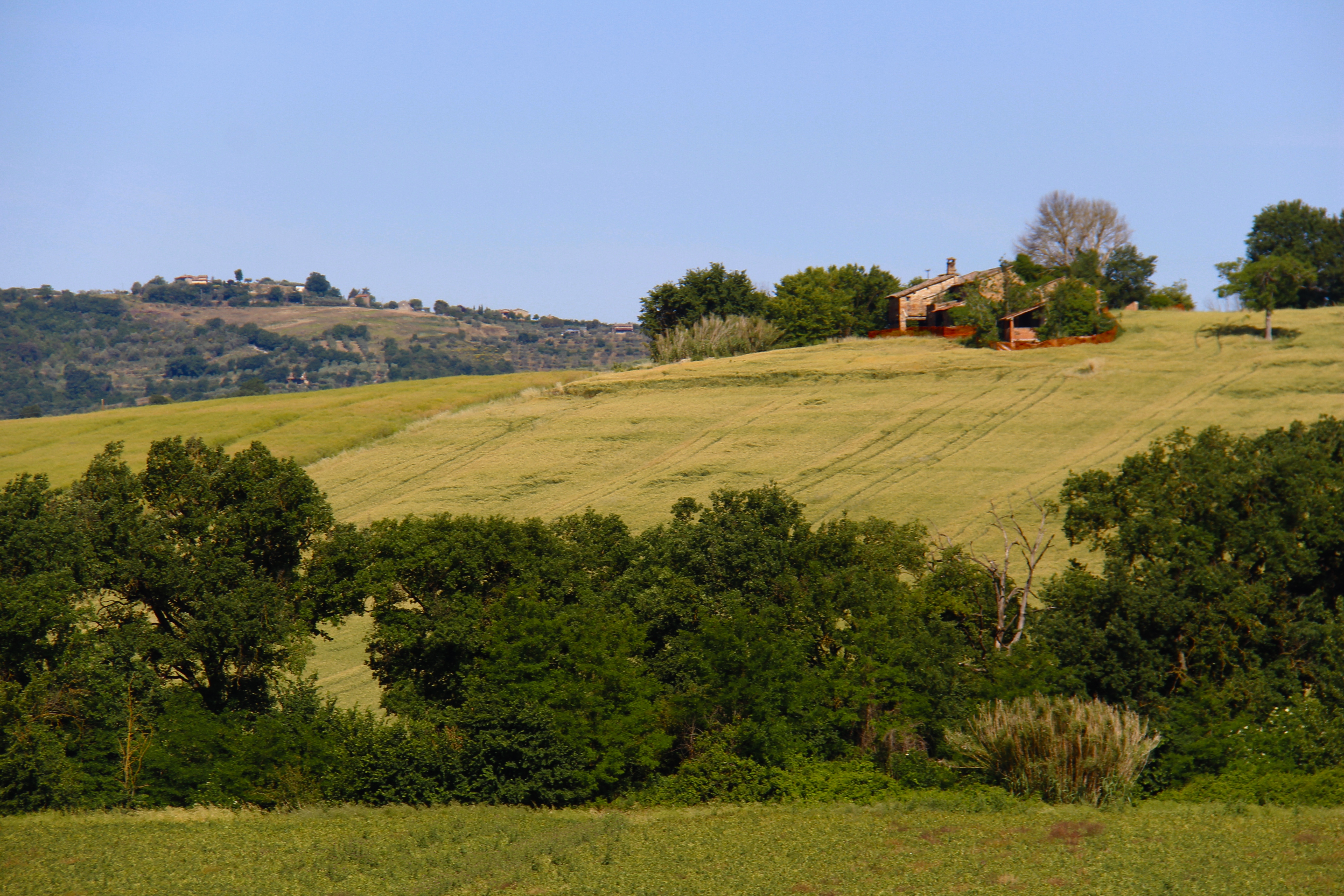 6C1058D6-4270-4F3F-87DF-580B9C6CC2EE