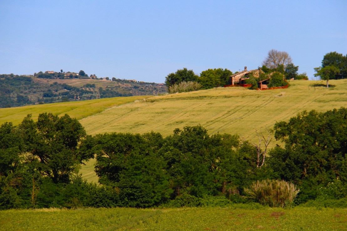 6C1058D6-4270-4F3F-87DF-580B9C6CC2EE