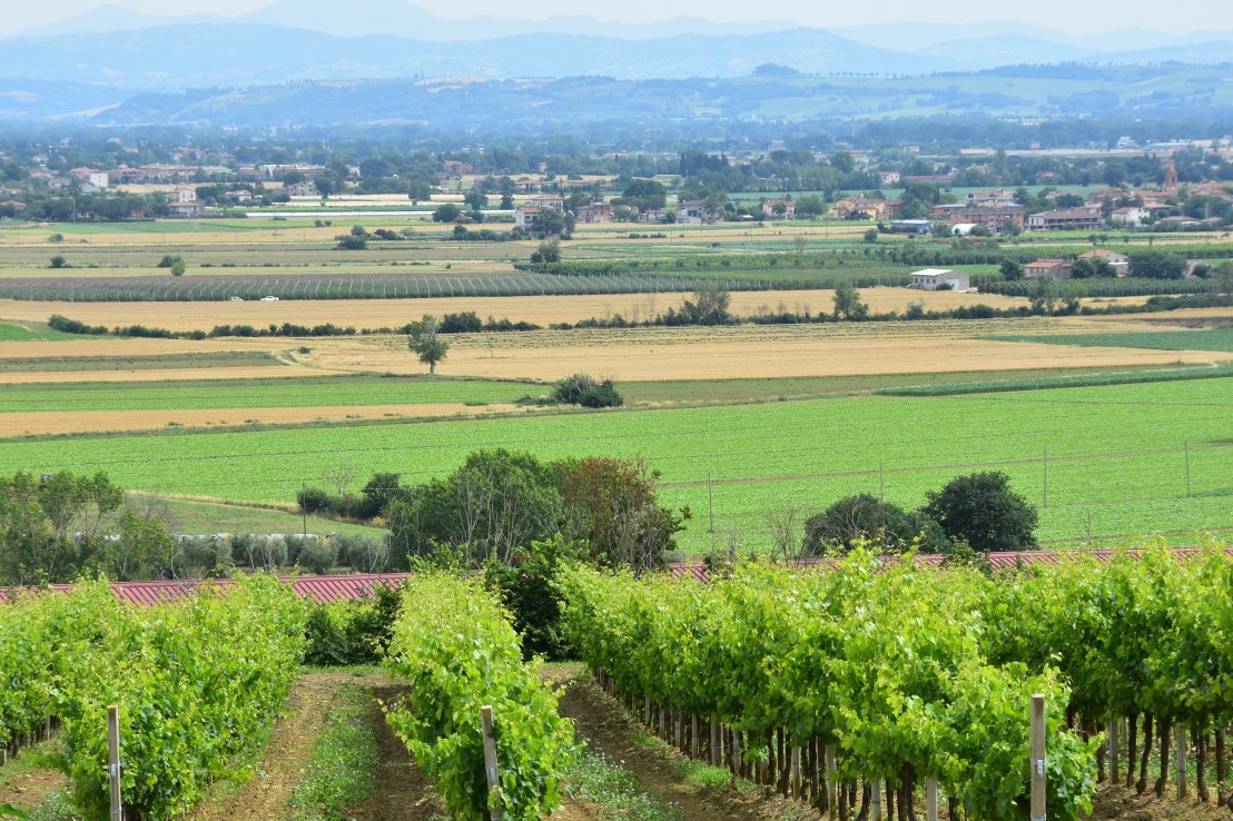 6D93D025-3B66-41F7-9DA8-FE3D8F55A298