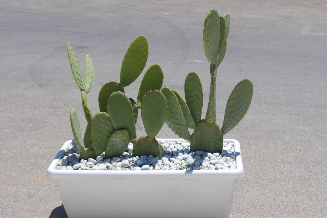 794B1775-616C-4847-A15B-8255F55E9D3B