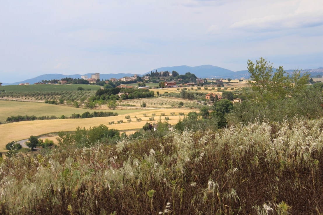 7BAC5774-8782-495B-84EC-58658984EFA7