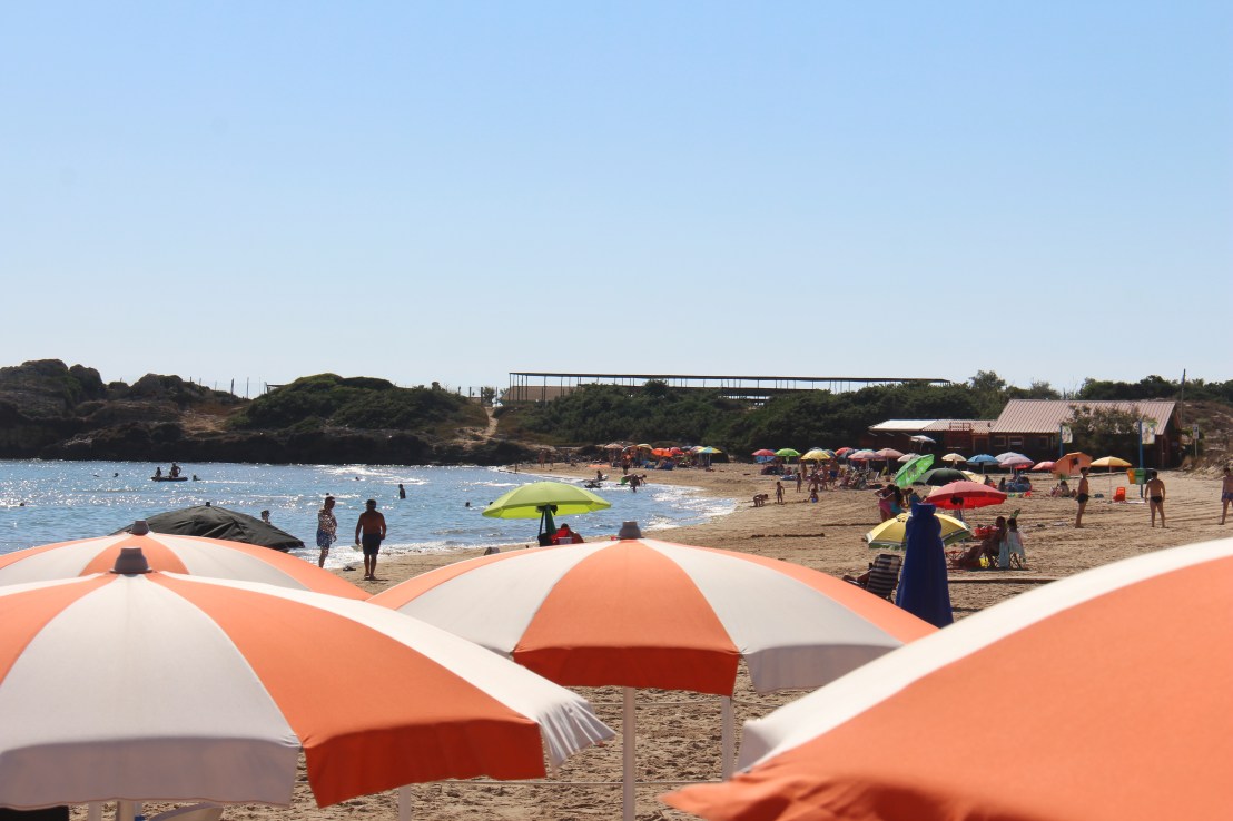 87D7EBCC-B4BB-452F-8712-1F980FE84011