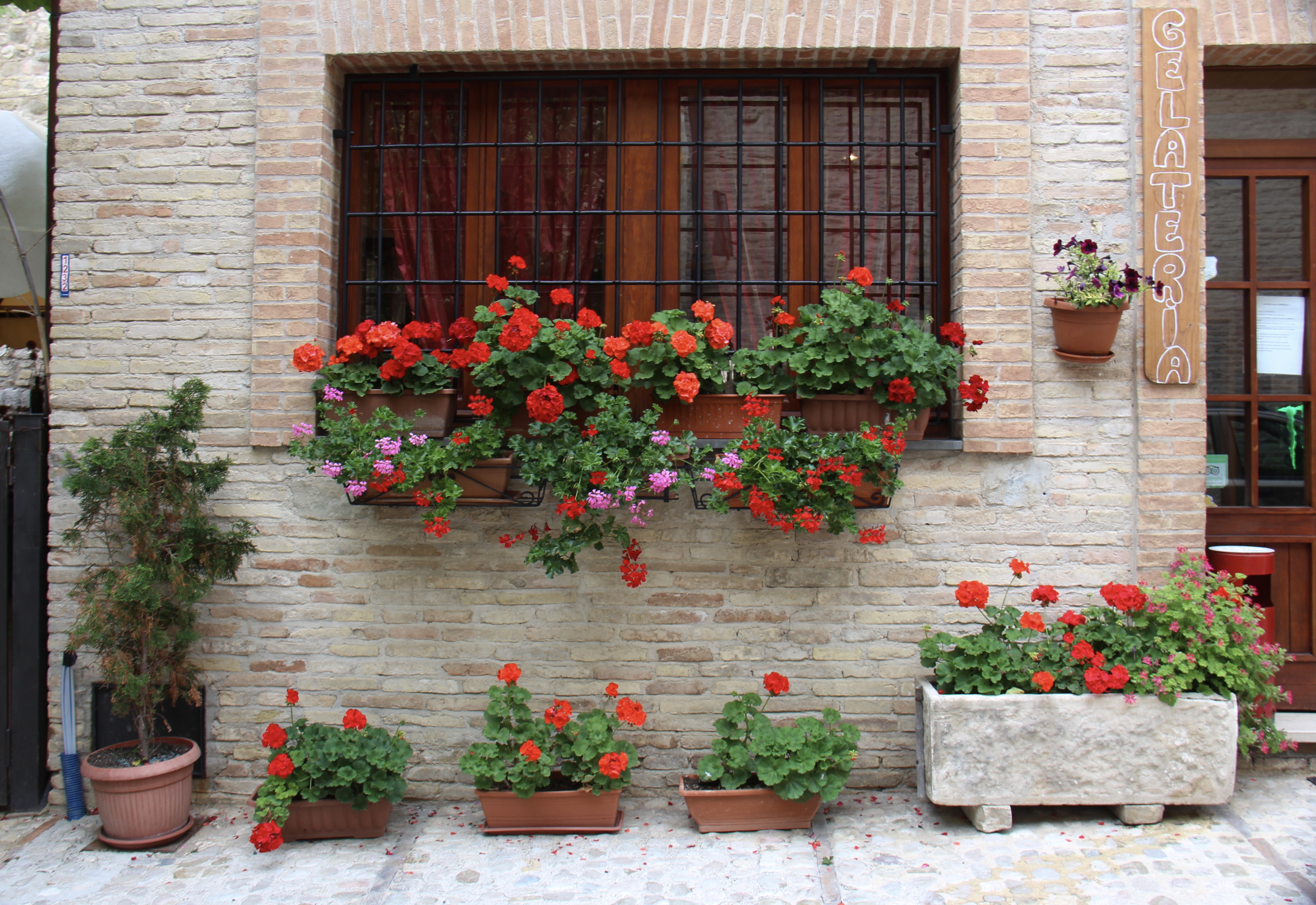 99641F43-6851-4B10-AA90-D6A2700215A3