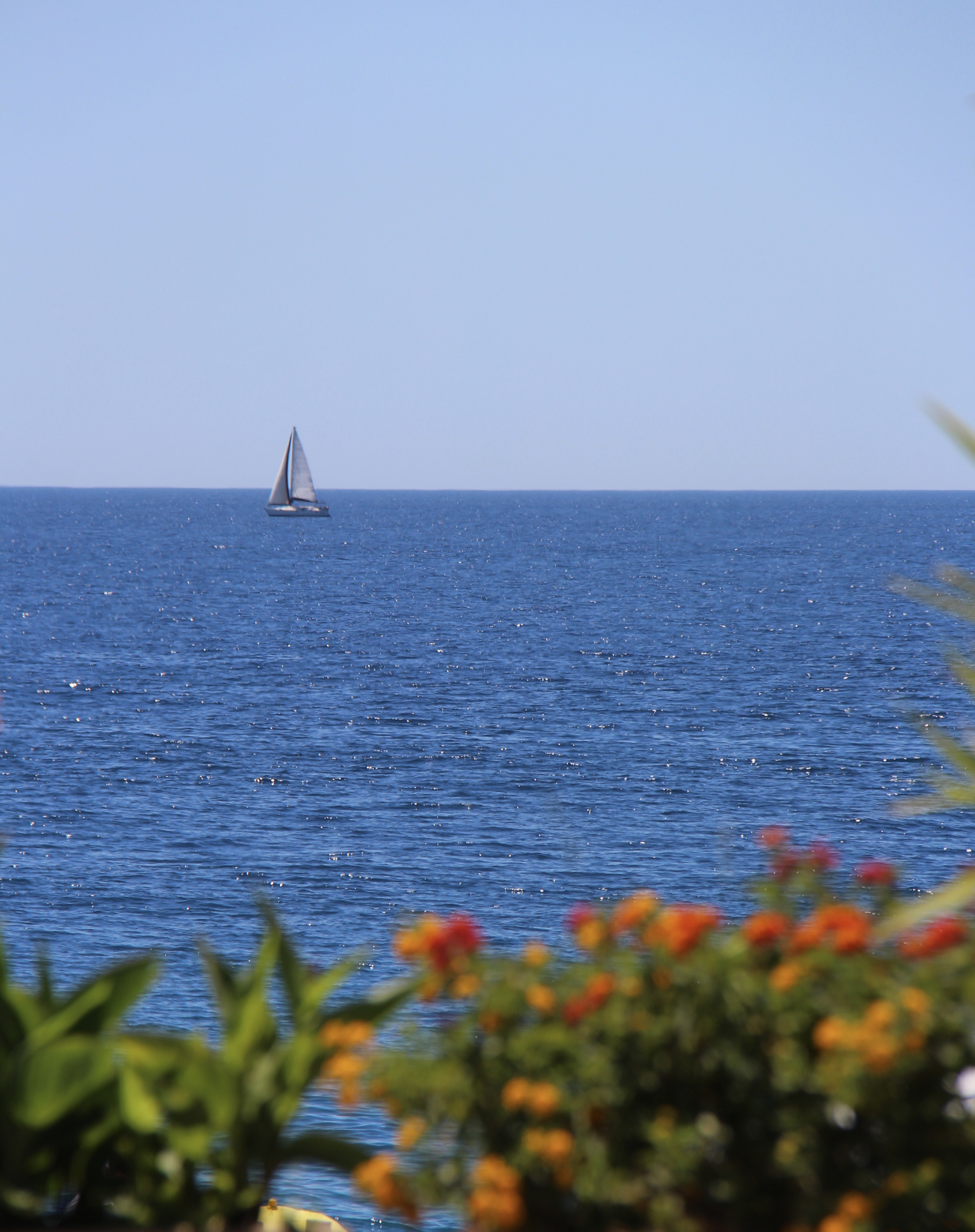 A90785F2-CB82-4892-BFDD-BA2EC1E68ED3