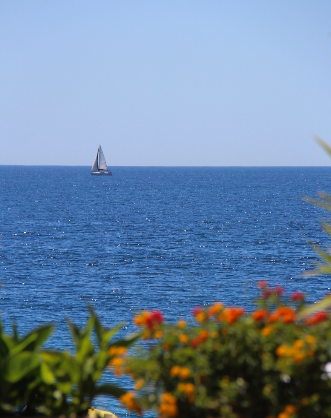 A90785F2-CB82-4892-BFDD-BA2EC1E68ED3