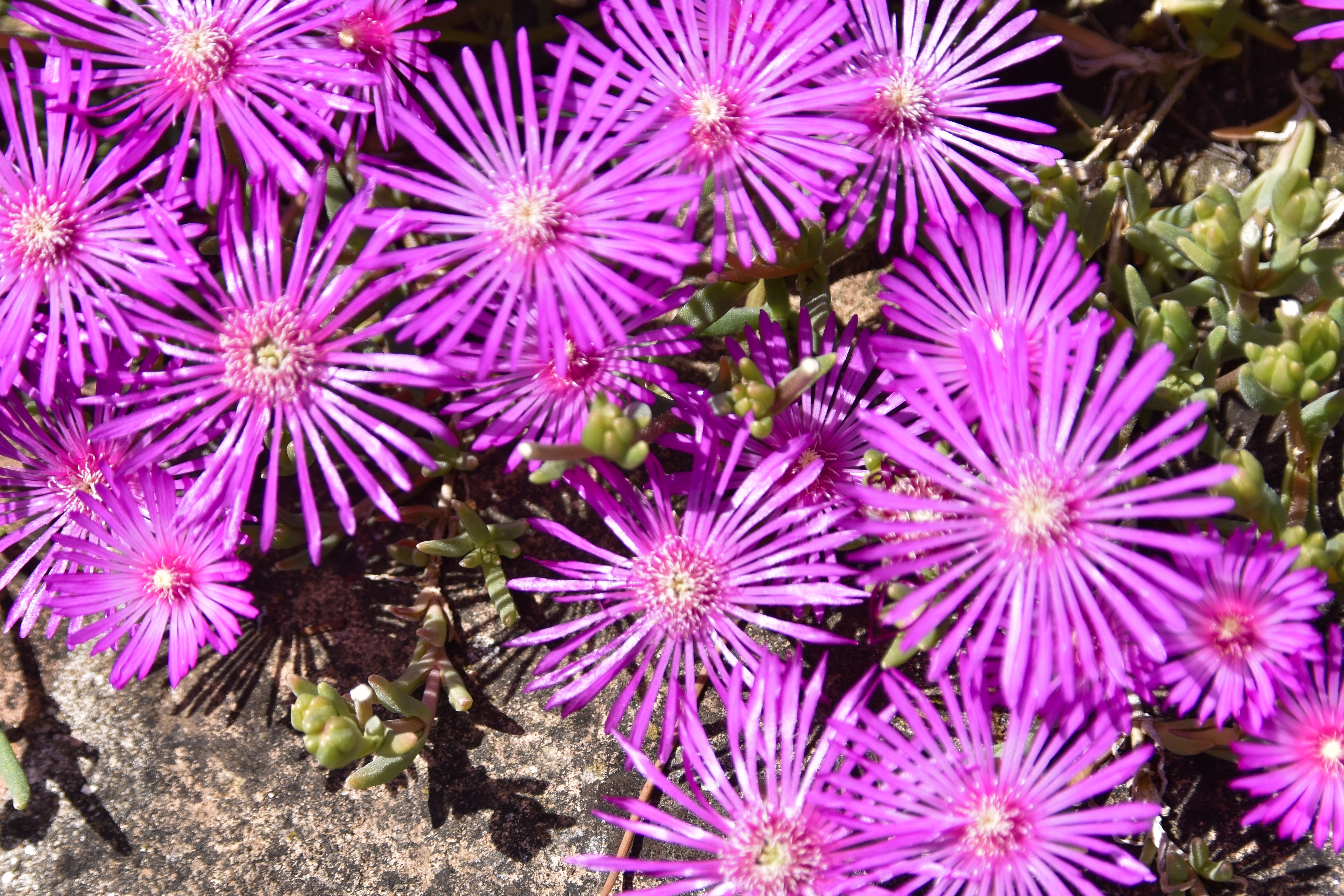 C03CDF97-5A62-45F4-B0E3-0D9BFB925EFE