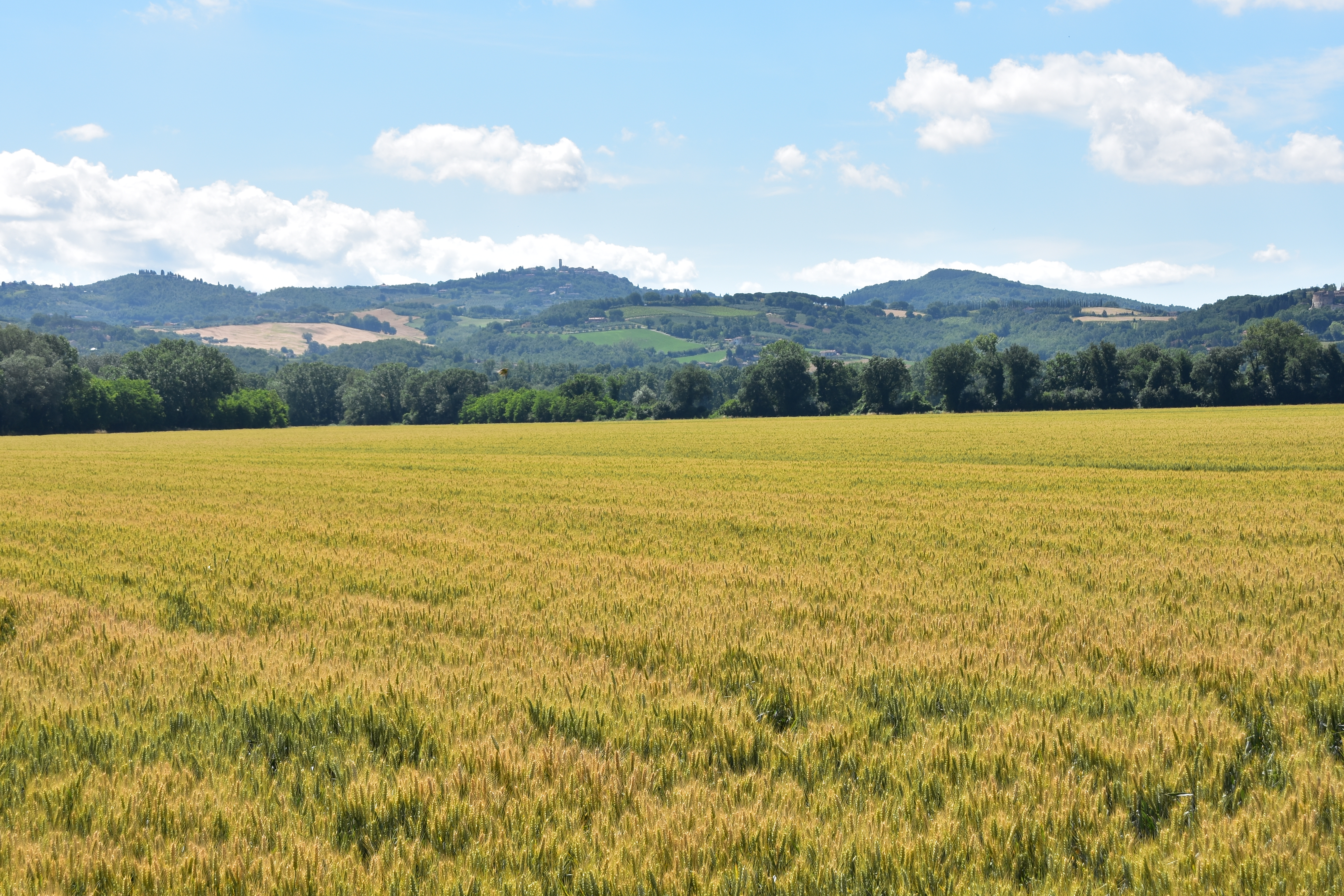 C233DC2E-FC3E-44A5-B6BF-1A24D78D859F