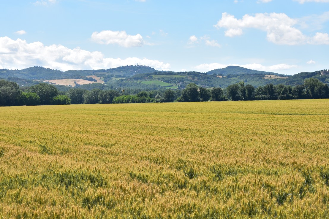 C233DC2E-FC3E-44A5-B6BF-1A24D78D859F