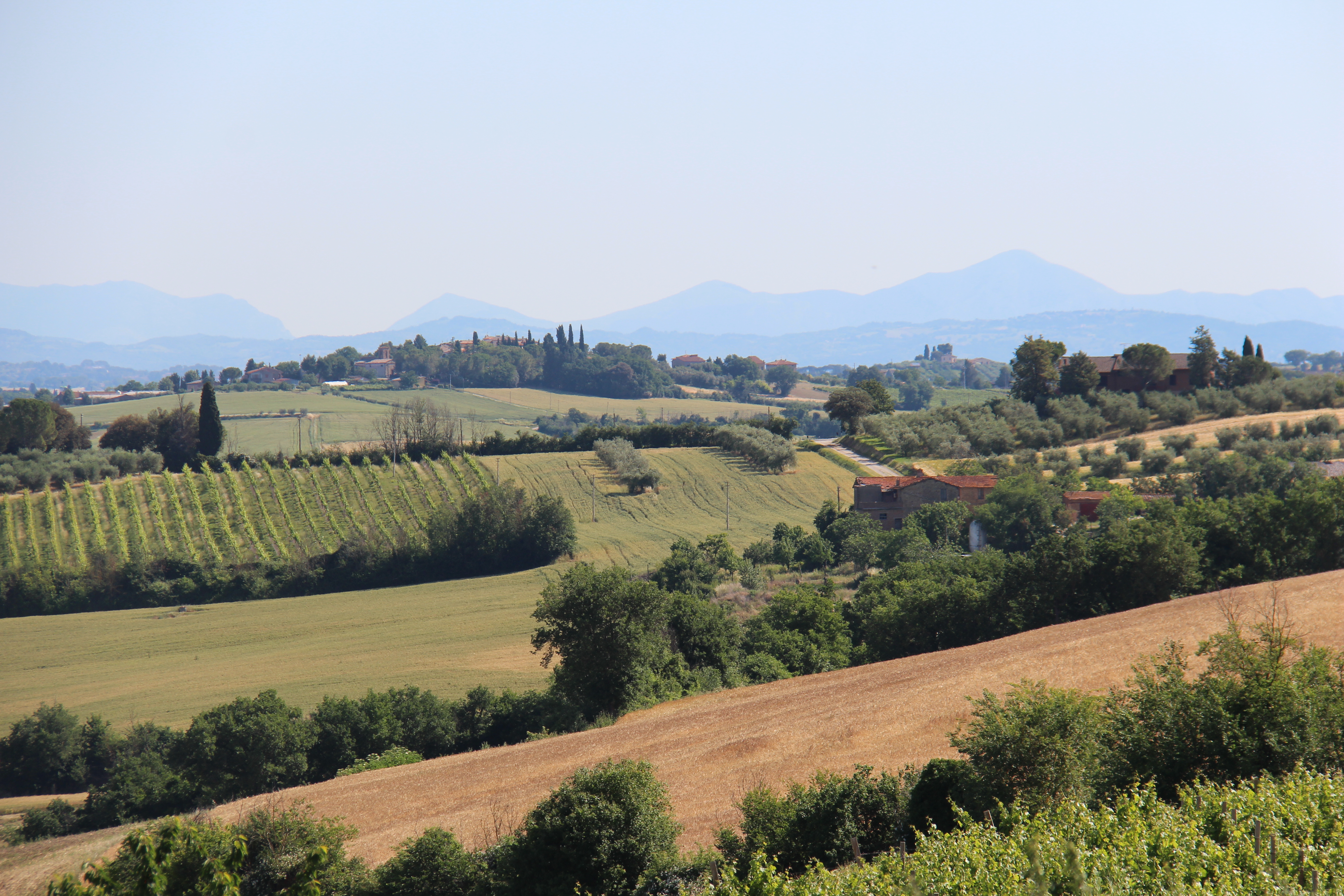 C3FF5D6D-75E3-4DCE-9A85-1A48AF5AD602