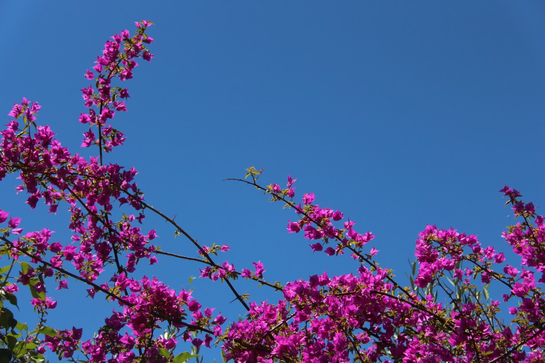 C6CF1F6B-DC51-484D-AC19-9B4620455FE5