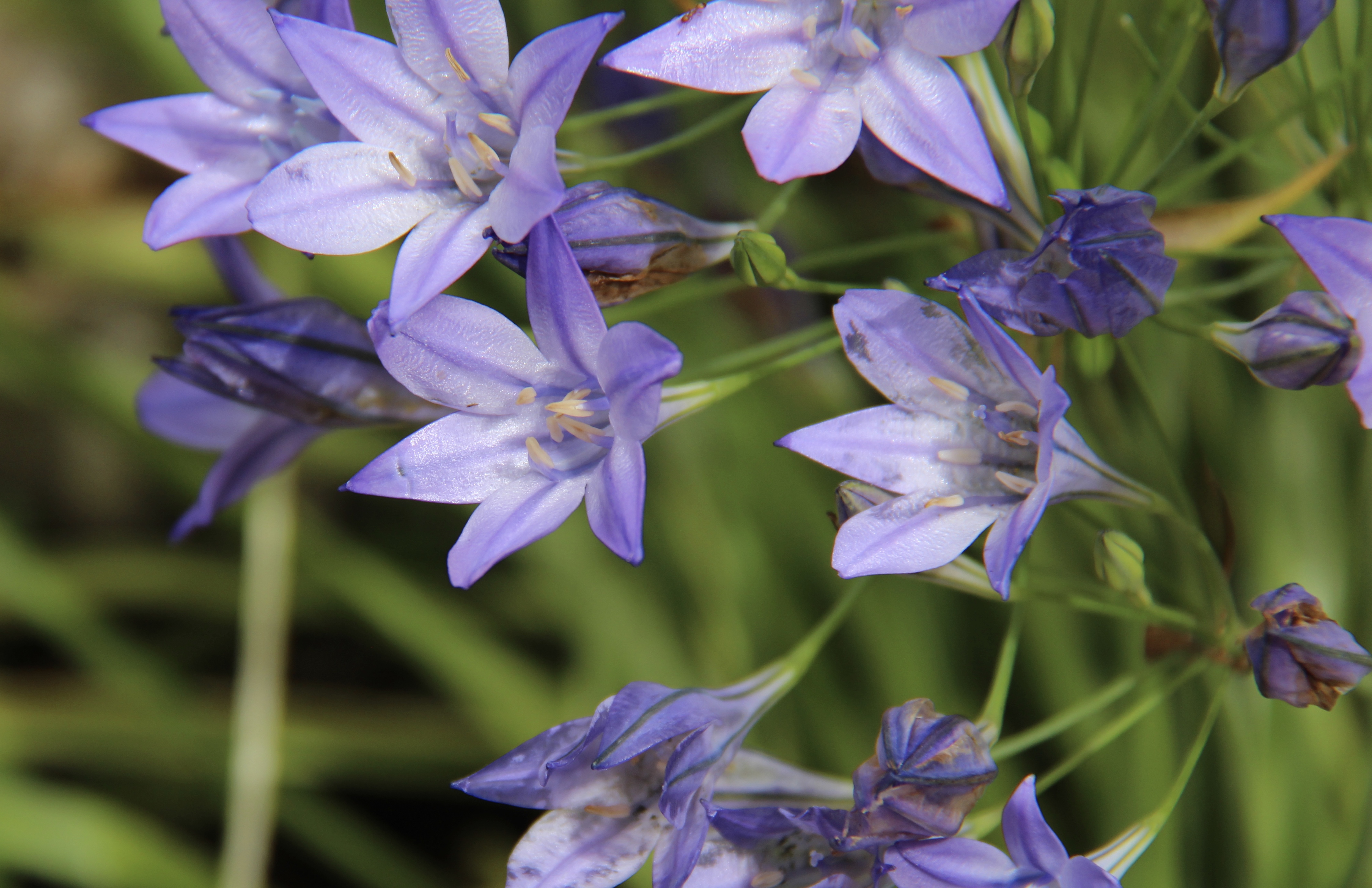 D5BE5709-05DA-4CDA-897B-2B82A7850B98