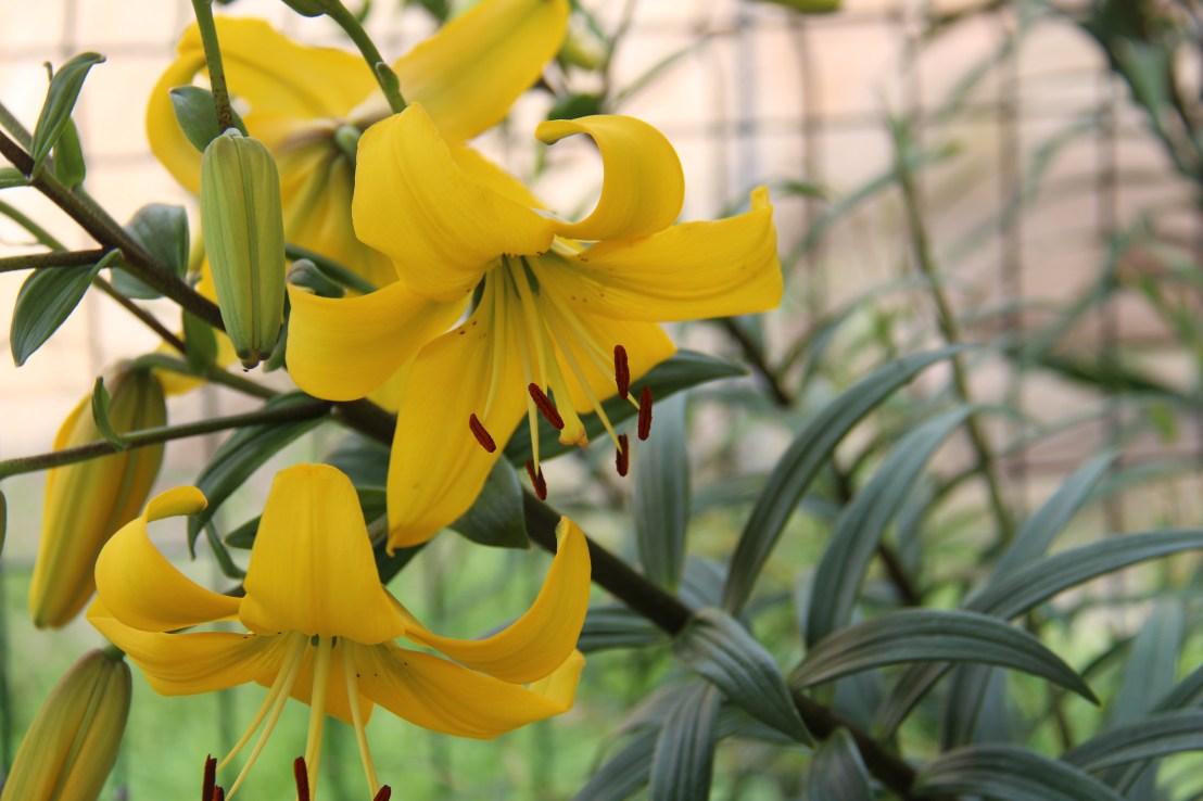 D5E9D37F-3D19-408C-B8BF-5775D40A7DB6