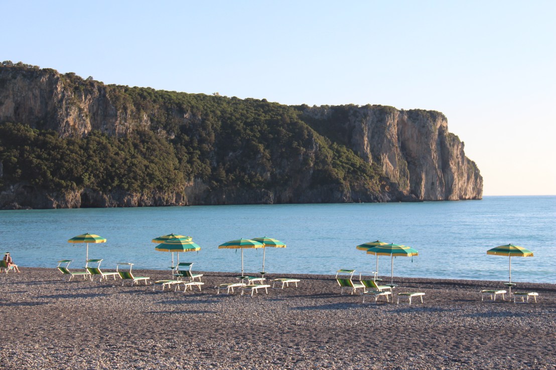 D79EEA1A-D40A-4B64-9542-FA63104180A4