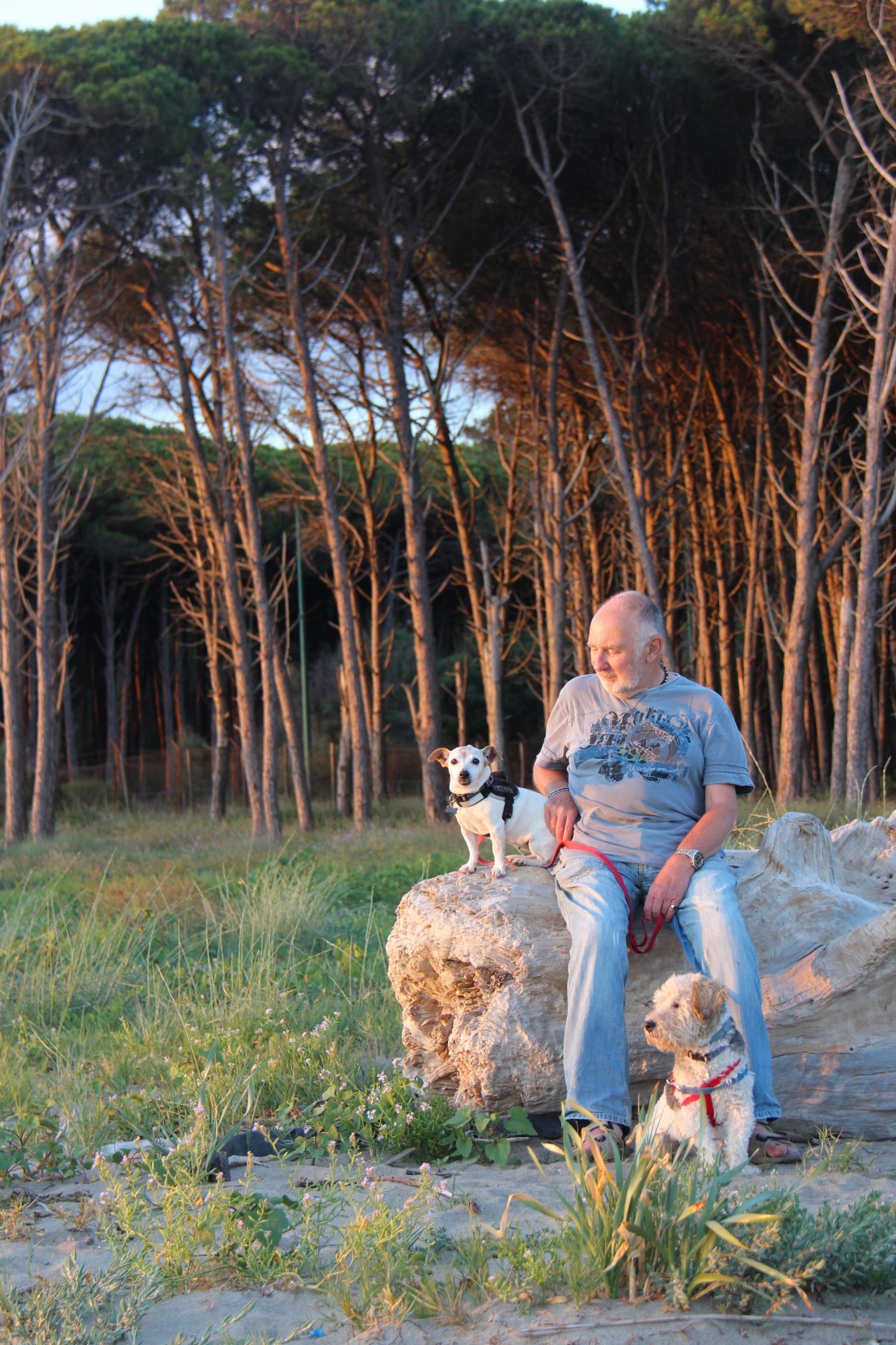 ED3786C4-F6F5-45F6-A3CE-B4ECC5110A82